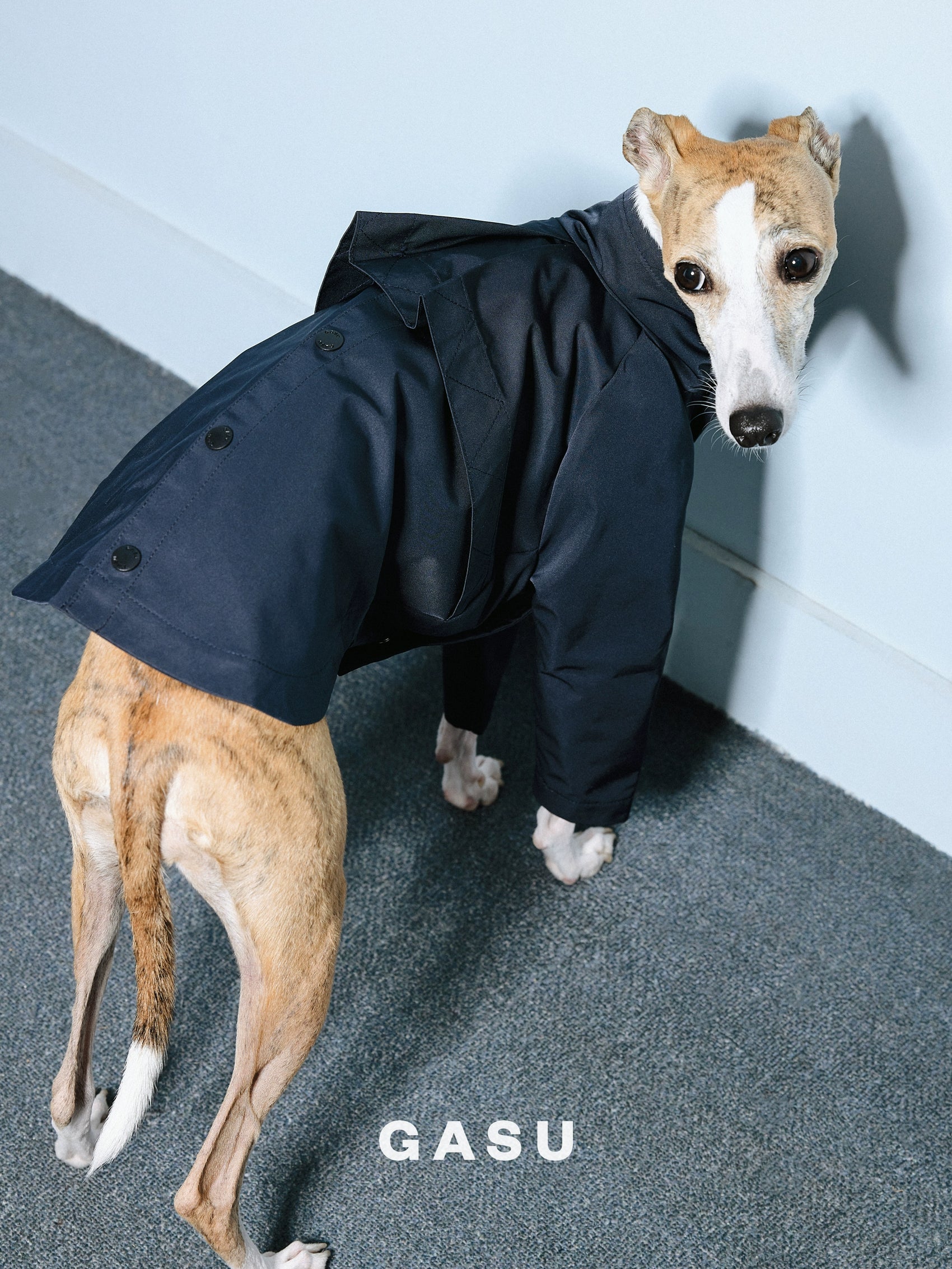 GASU Variété / [2 Colors] Reversible Waterproof Trench Coat