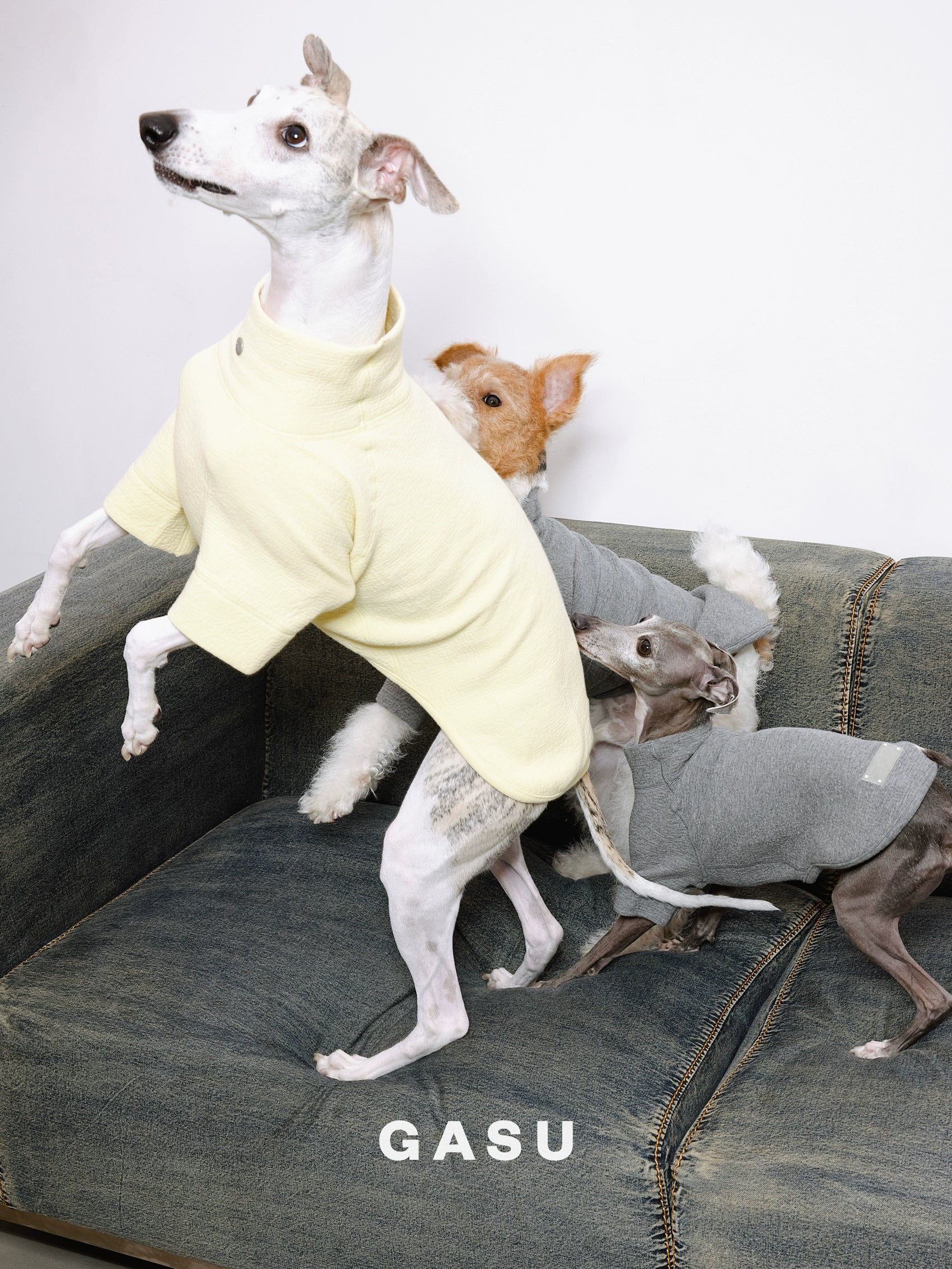 GASU Moi / [4 Colors] Super Comfortable Yarn-dyed T-shirt