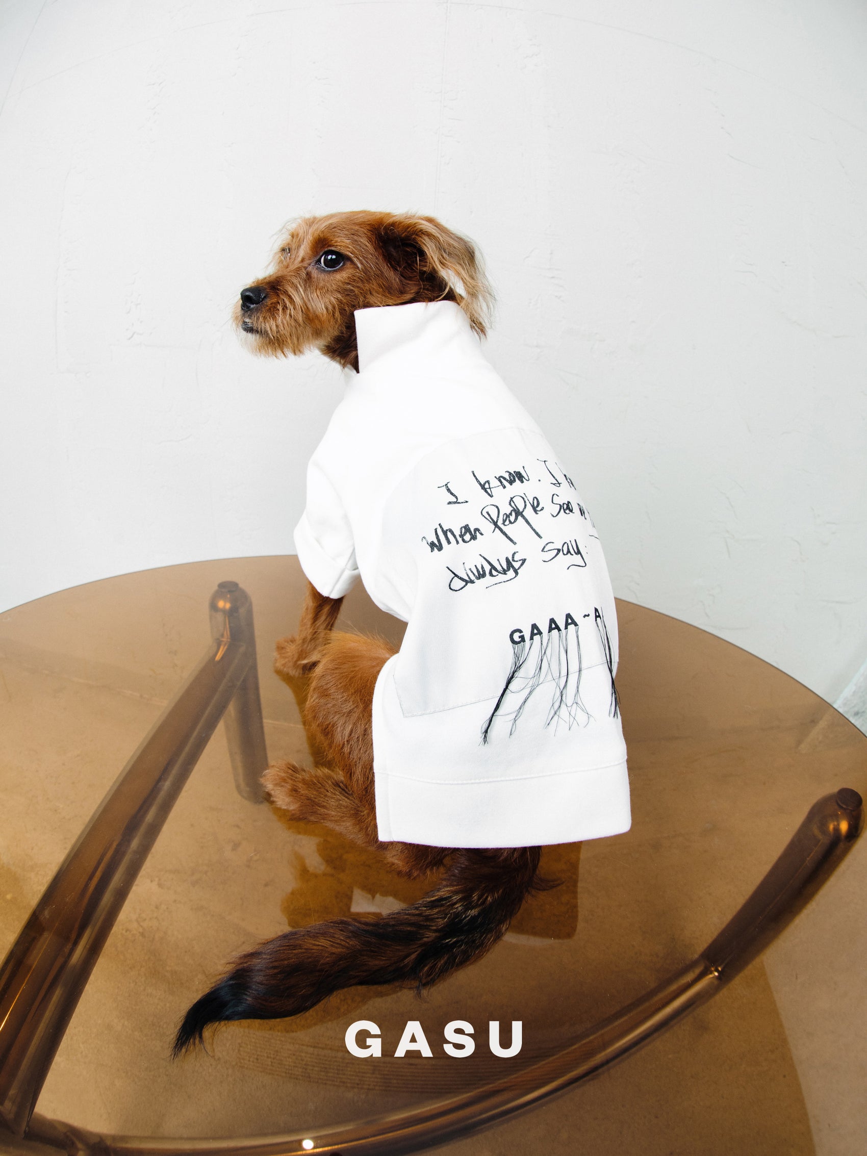 GASU Moi / [White] Slogan White Soft T-shirt