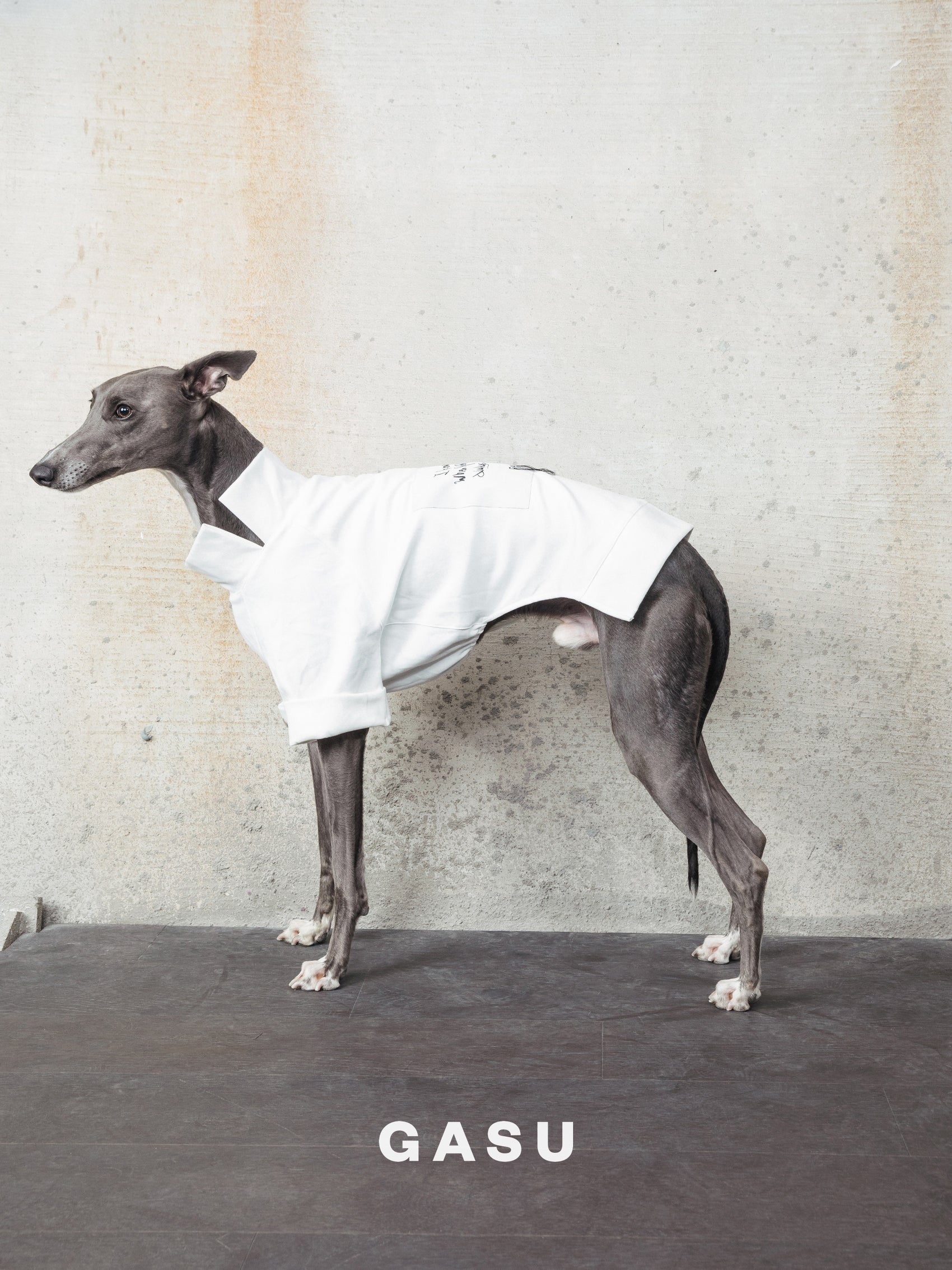 GASU Moi / [White] Slogan White Soft T-shirt
