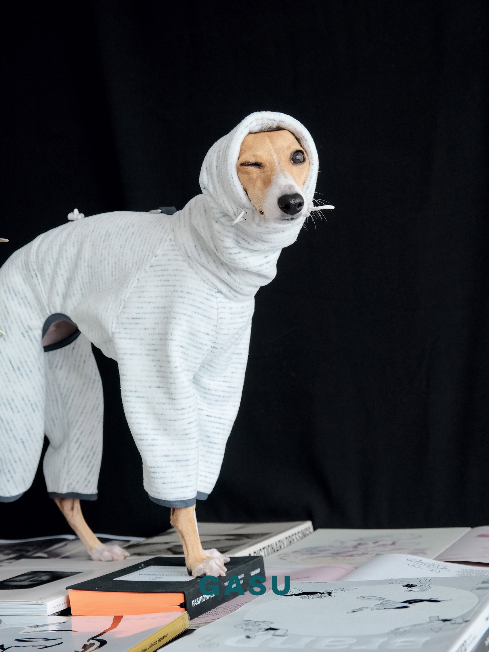 GASU Soleil / [Stone Indigo] Permanent Anti-static Fabric Adjustable 4-Leg Fleece Technologically Warming Jumpsuit