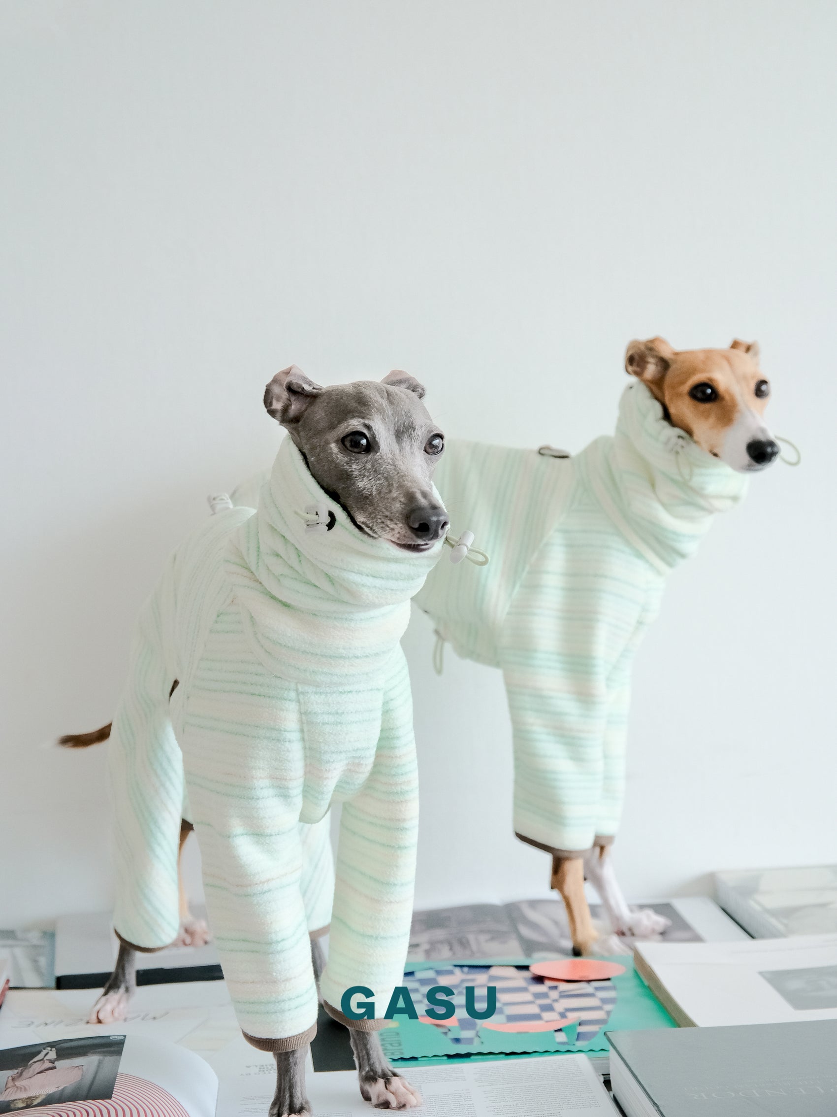 GASU Soleil / [Vivid Green] Permanent Anti-static Fabric Adjustable 4-Leg Fleece Technologically Warming Jumpsuit