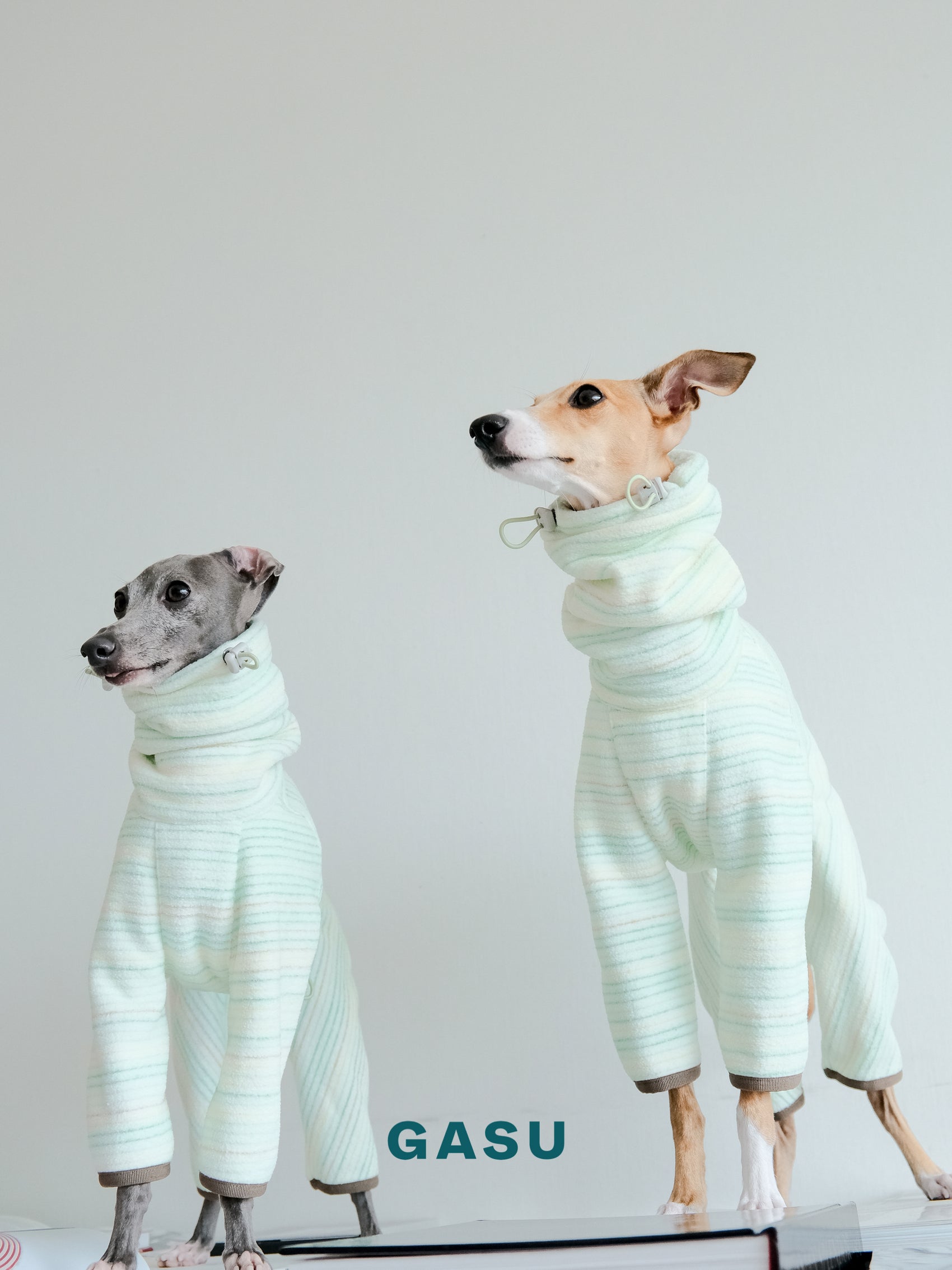 GASU Soleil / [Vivid Green] Permanent Anti-static Fabric Adjustable 4-Leg Fleece Technologically Warming Jumpsuit