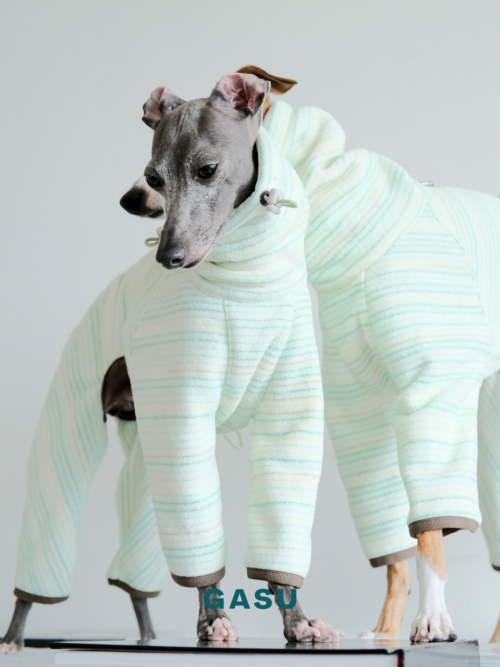 GASU Soleil / [Vivid Green] Permanent Anti-static Fabric Adjustable 4-Leg Fleece Technologically Warming Jumpsuit