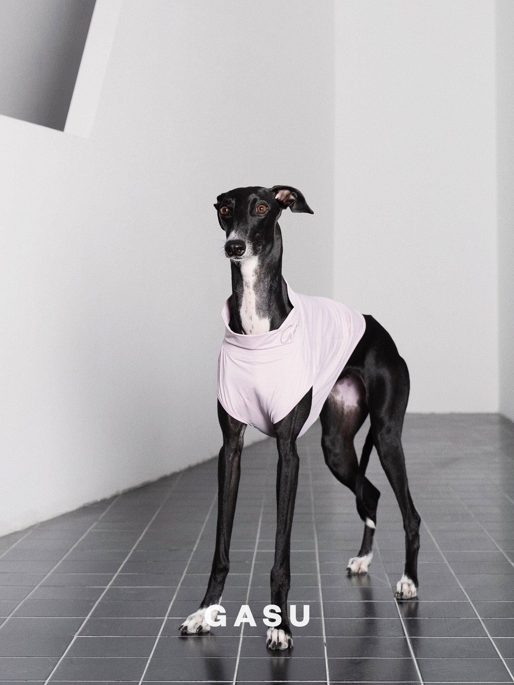 GASU Protéger / [5 Colors] Nude UPF50+ Cooling Vest