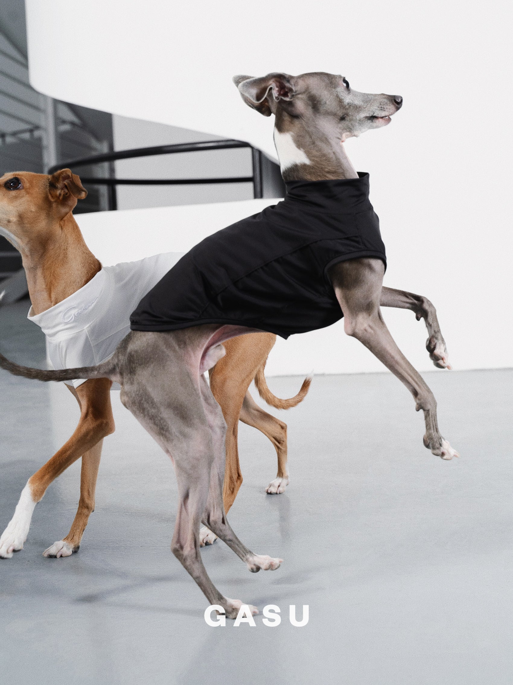 GASU Protéger / [5 Colors] Nude UPF50+ Cooling Vest