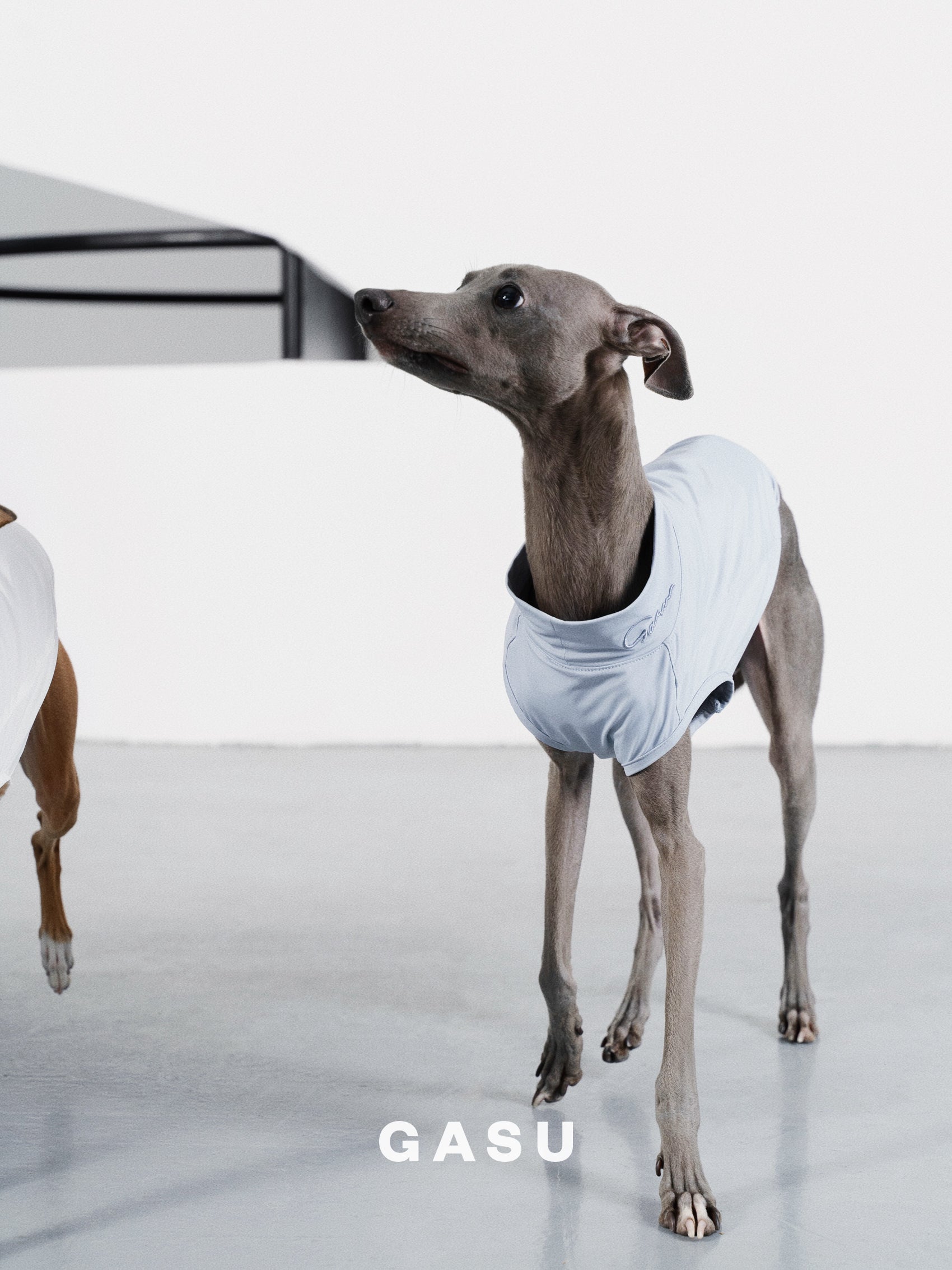 GASU Protéger / [5 Colors] Nude UPF50+ Cooling Vest
