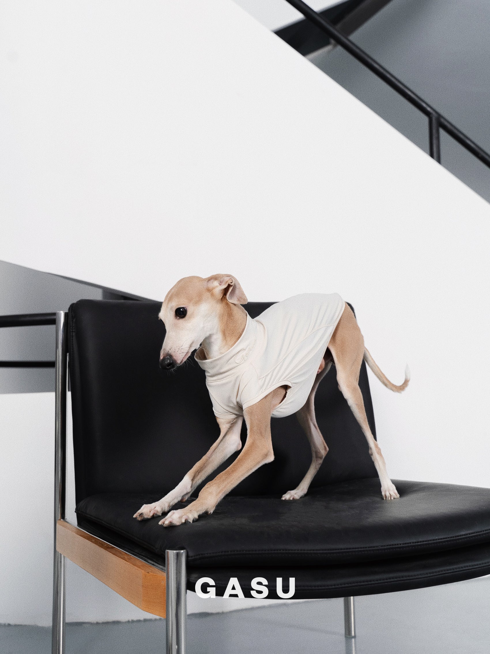 GASU Protéger / [5 Colors] Nude UPF50+ Cooling Vest