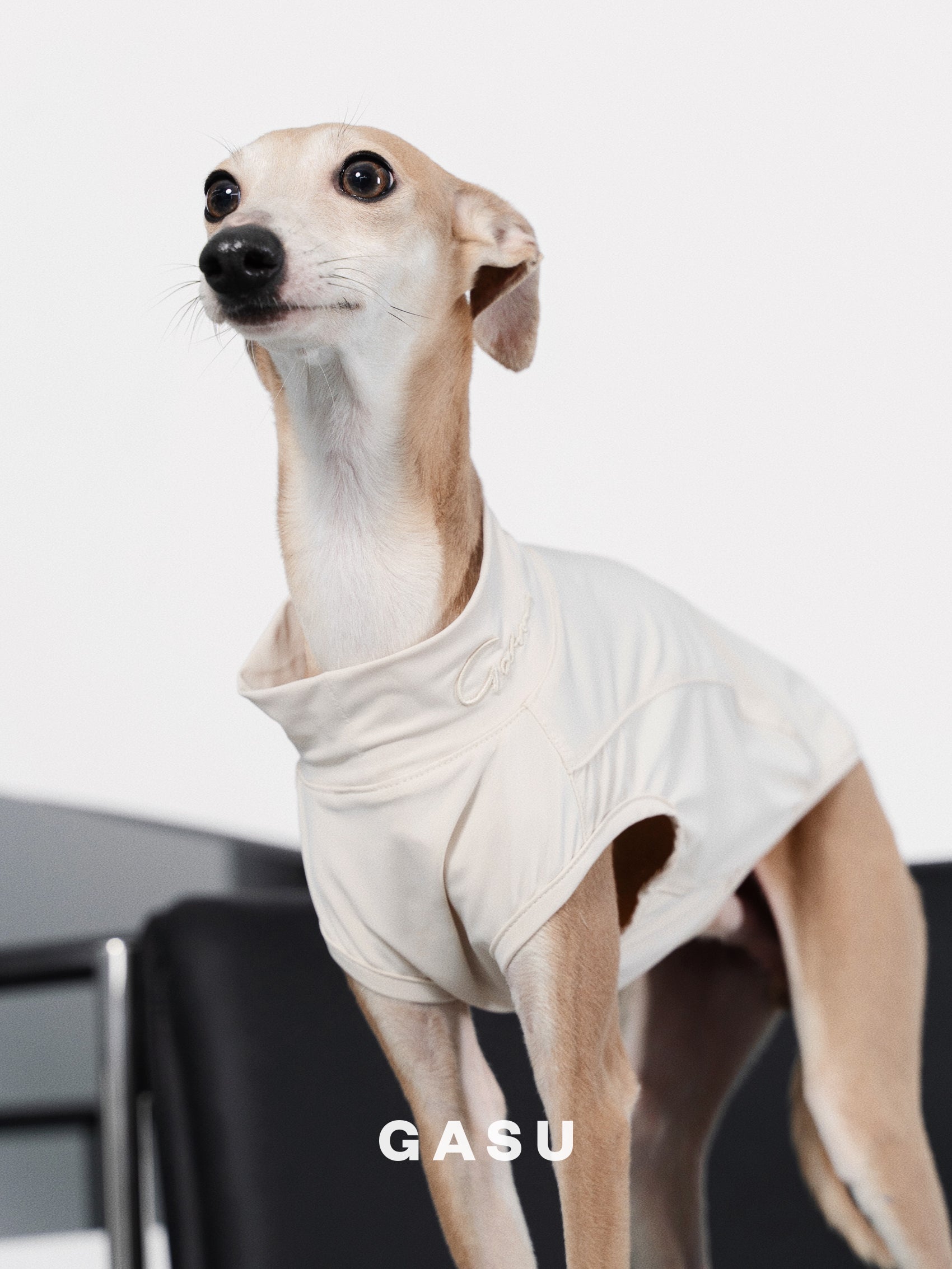 GASU Protéger / [5 Colors] Nude UPF50+ Cooling Vest