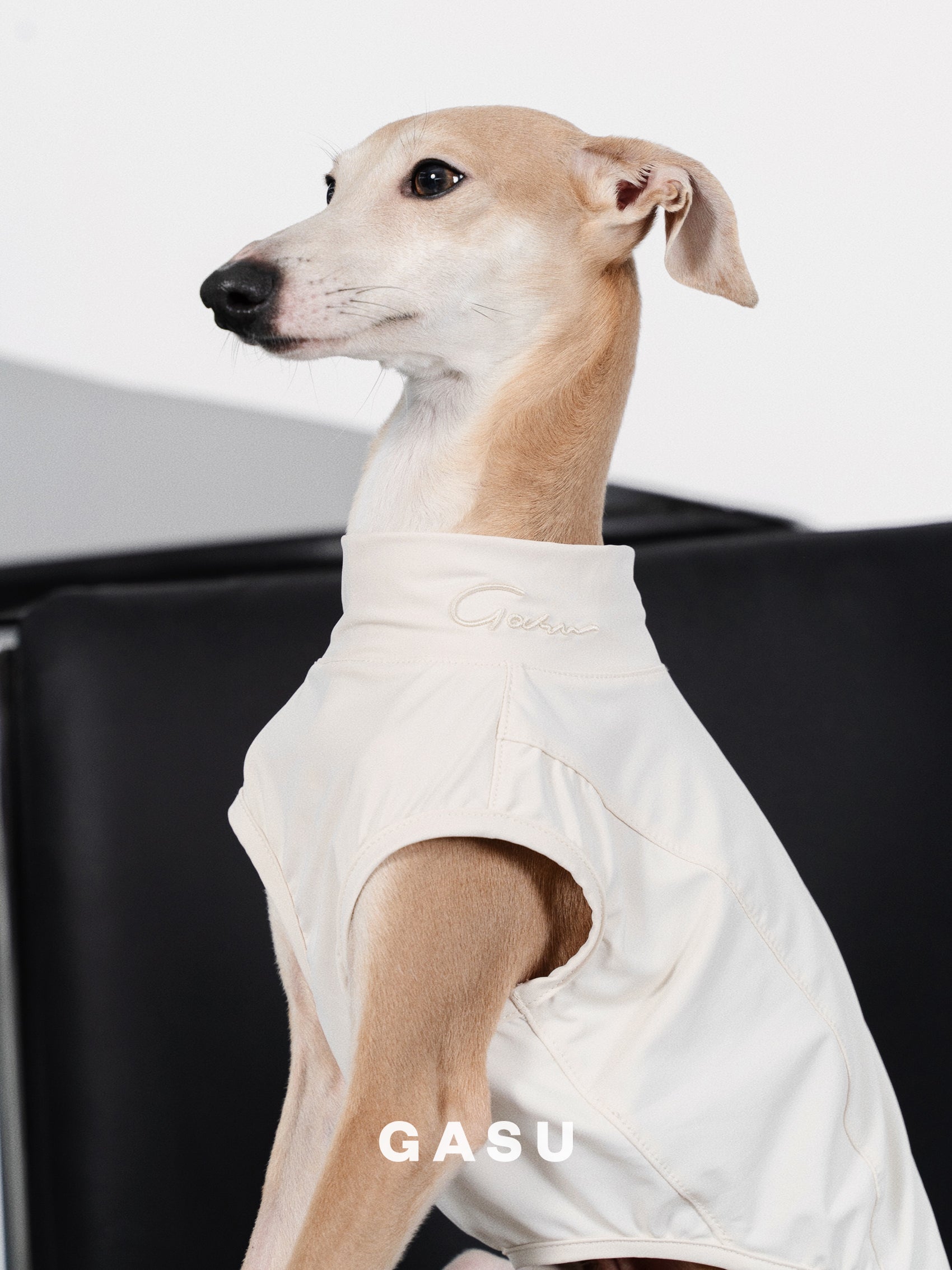 GASU Protéger / [5 Colors] Nude UPF50+ Cooling Vest