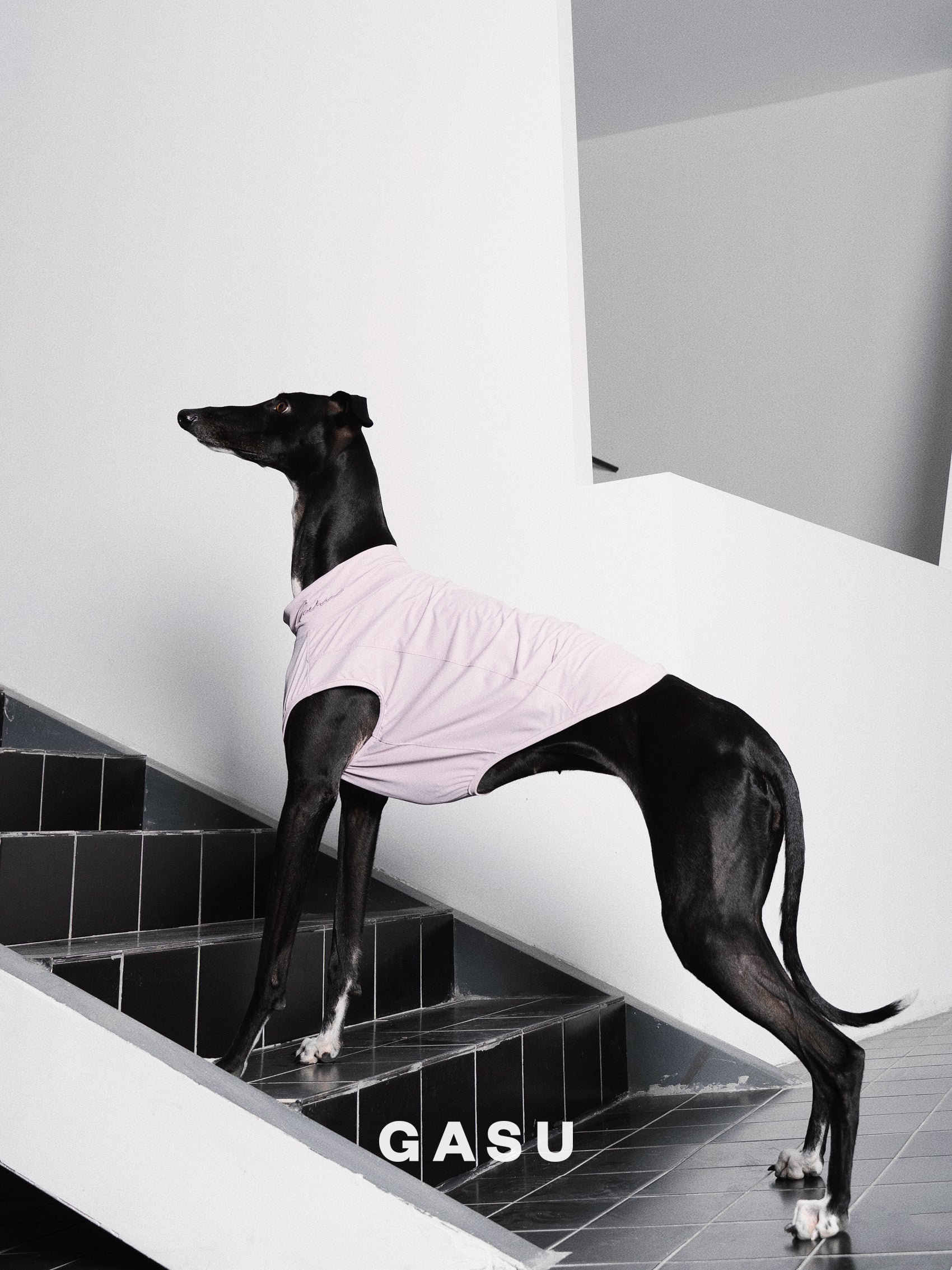 GASU Protéger / [5 Colors] Nude UPF50+ Cooling Vest
