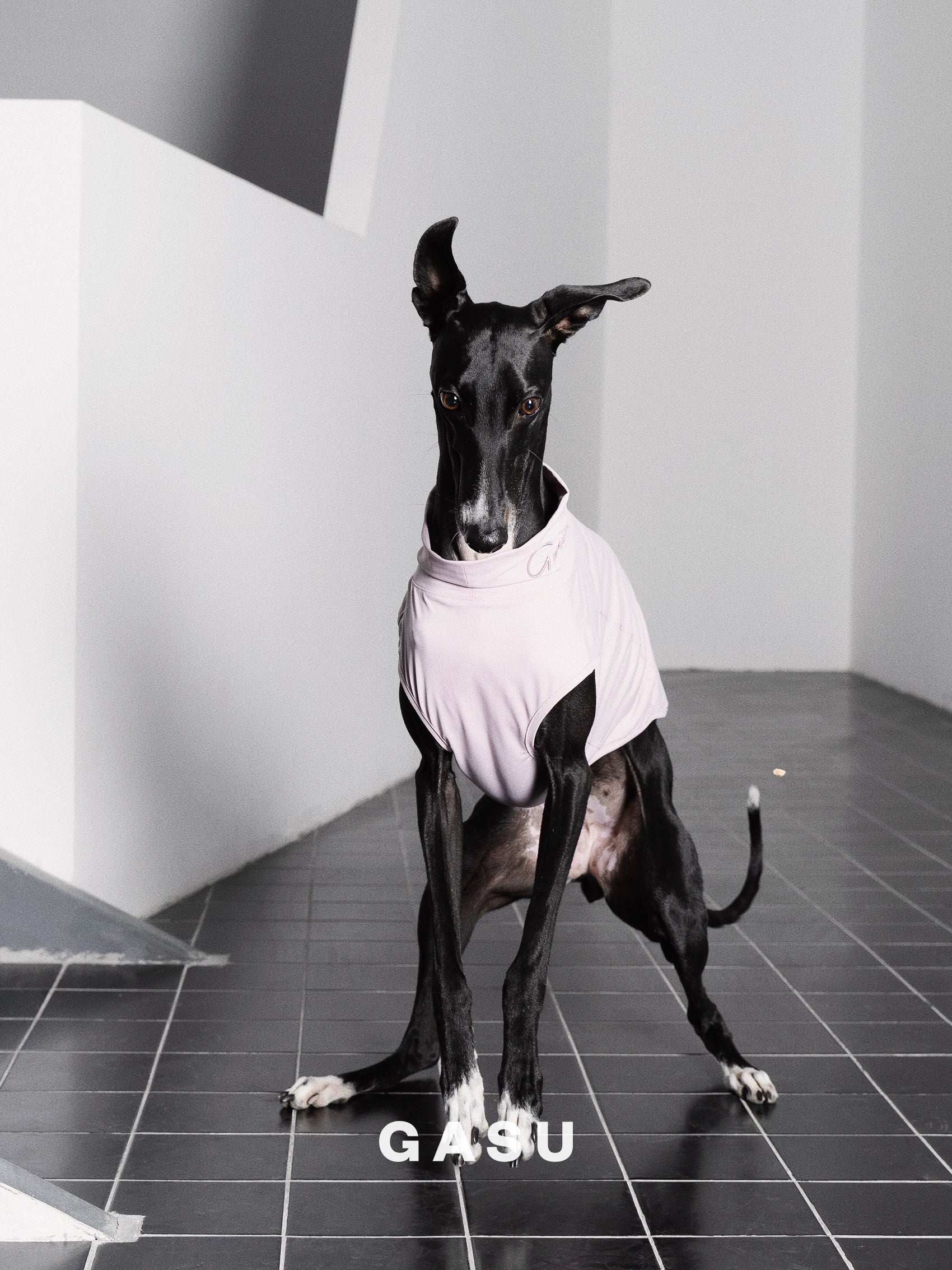 GASU Protéger / [5 Colors] Nude UPF50+ Cooling Vest