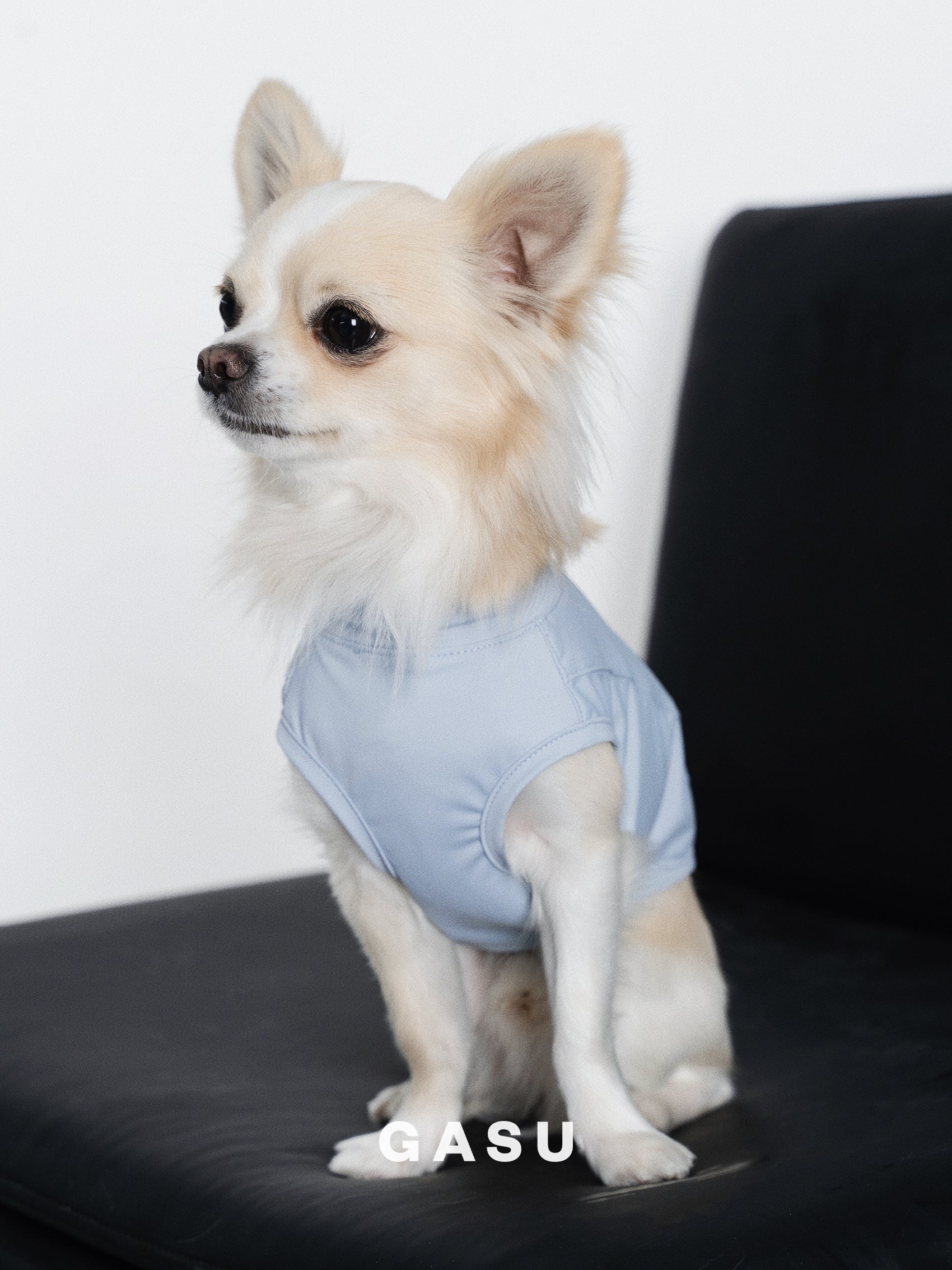 GASU Protéger / [5 Colors] Nude UPF50+ Cooling Vest