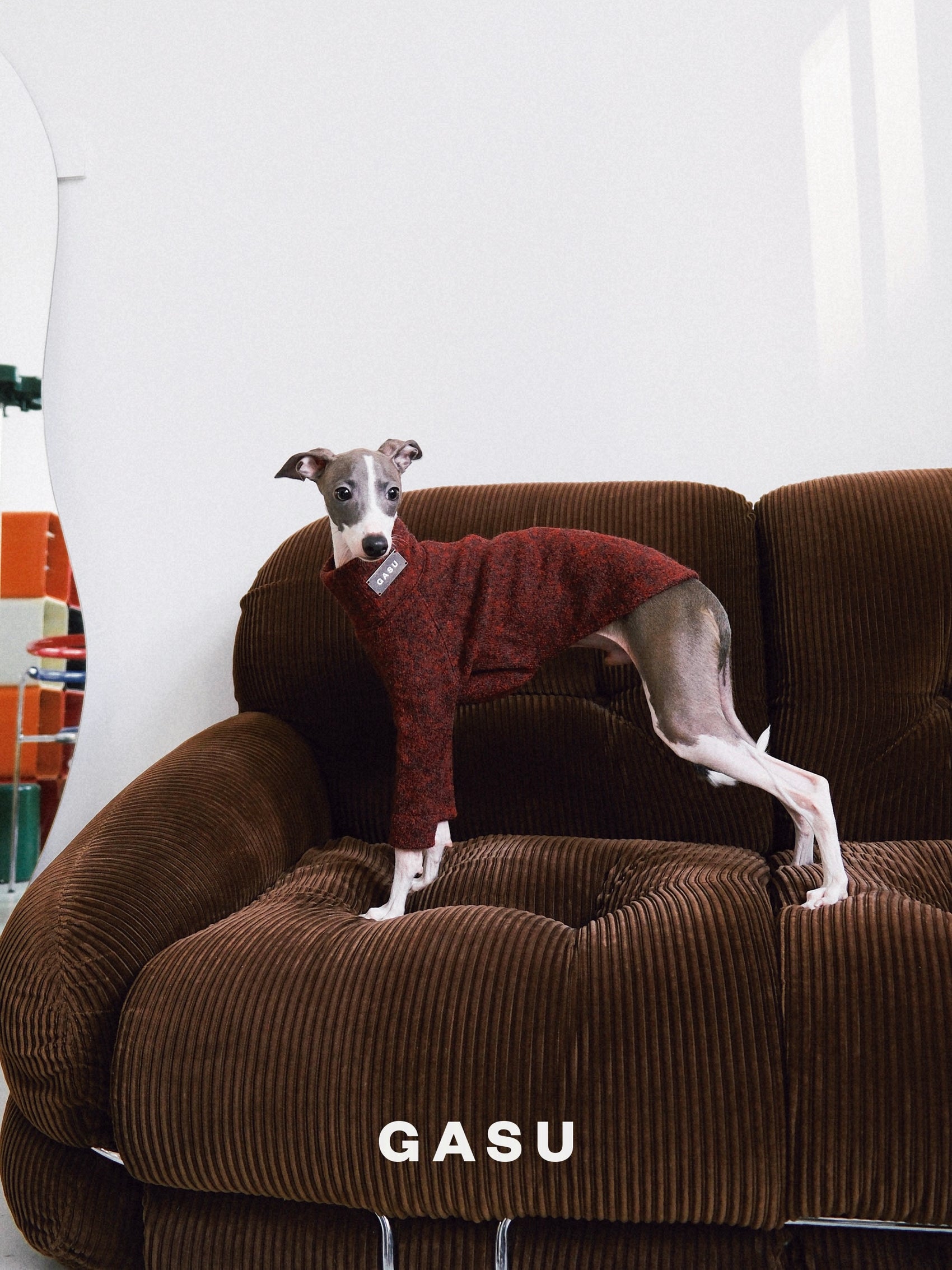 GASU Svelte / [Smilax China] 2-Leg Wool Shirt