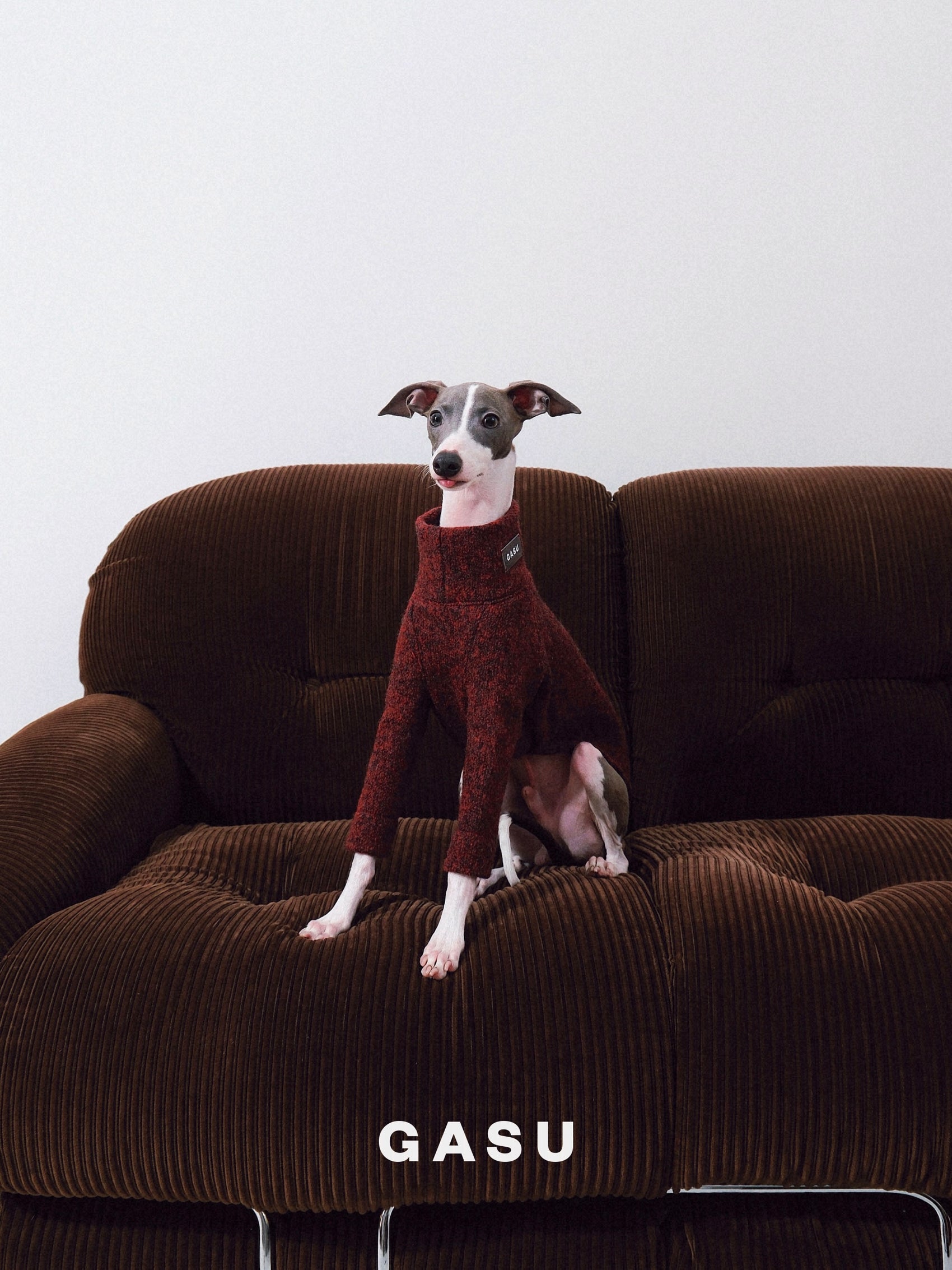GASU Svelte / [Smilax China] 2-Leg Wool Shirt
