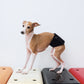 GASU Entourer / [9 colors] Permanently Anti-Static Fleece Belly Wrap