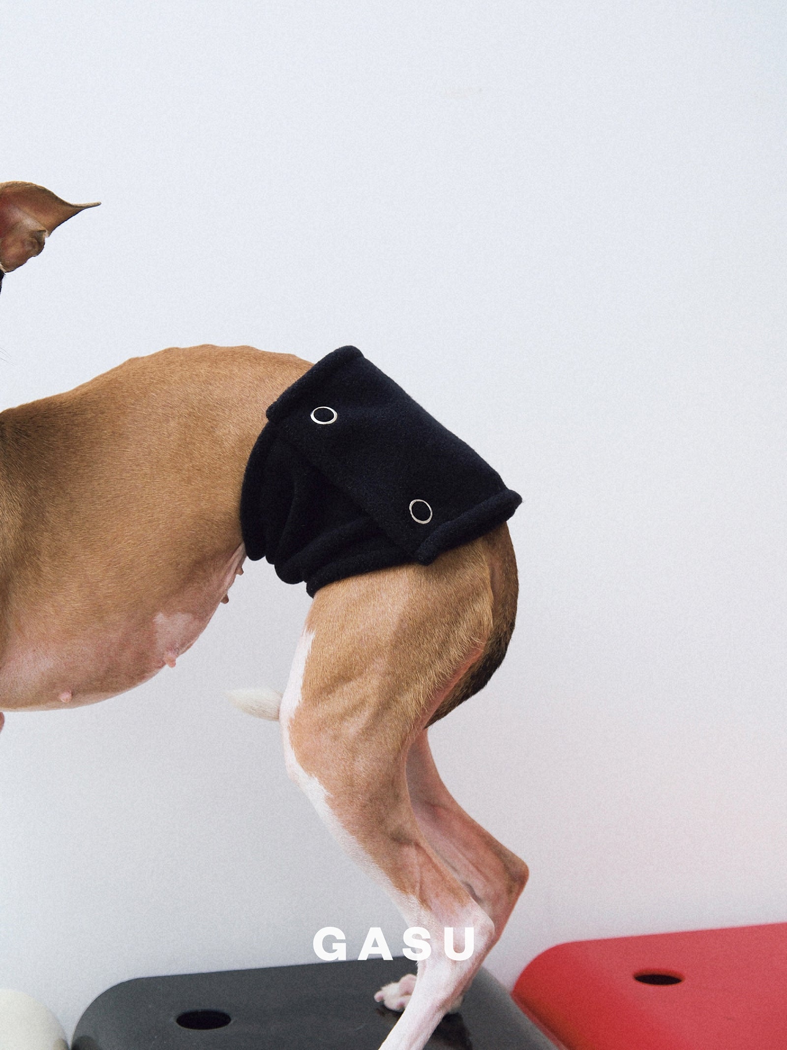 GASU Entourer / [9 colors] Permanently Anti-Static Fleece Belly Wrap