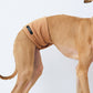 GASU Entourer / [9 colors] Permanently Anti-Static Fleece Belly Wrap