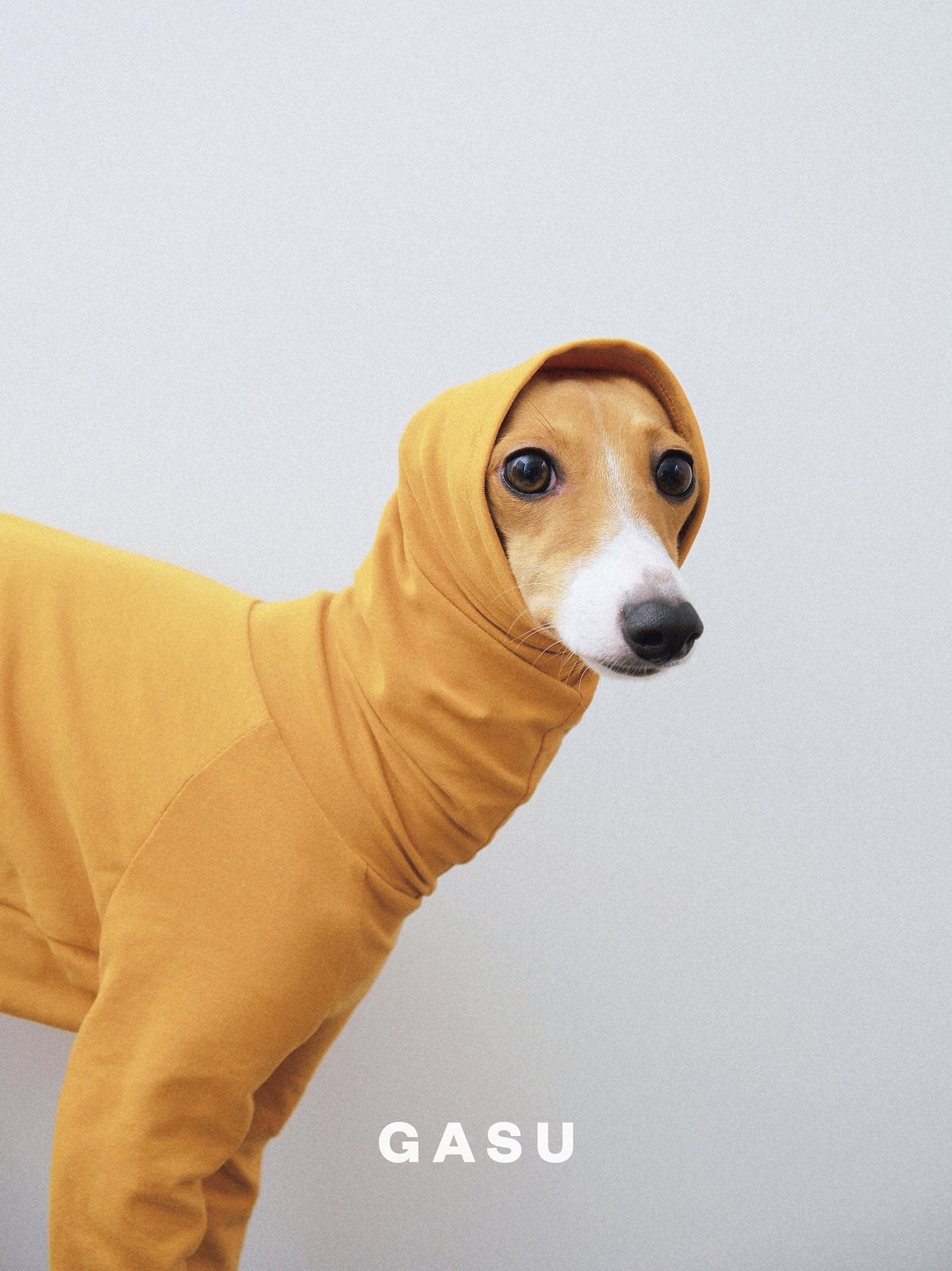 GASU Flâner / [2023 Limited Warm Mustard] Cotton 4-Leg Fit Jumpsuit