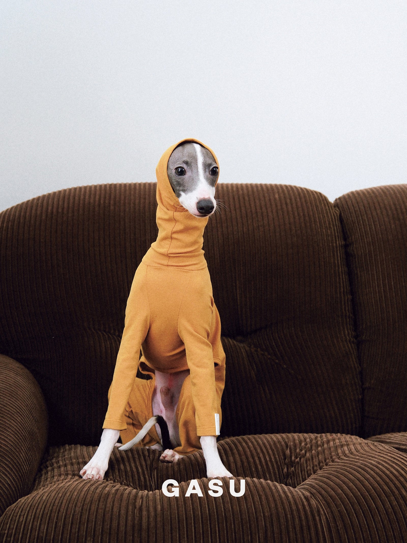 GASU Flâner / [2023 Limited Warm Mustard] Cotton 4-Leg Fit Jumpsuit