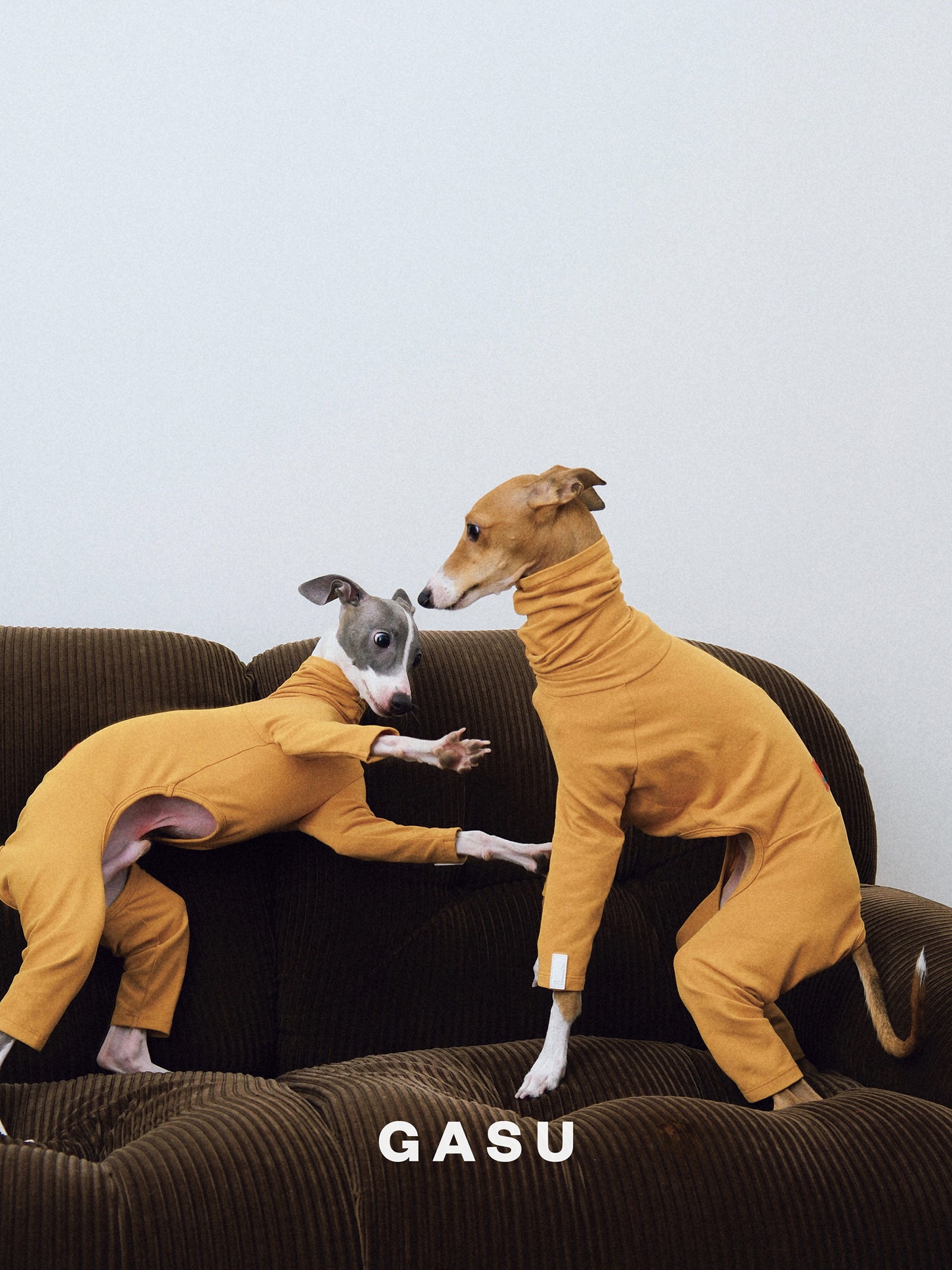 GASU Flâner / [2023 Limited Warm Mustard] Cotton 4-Leg Fit Jumpsuit