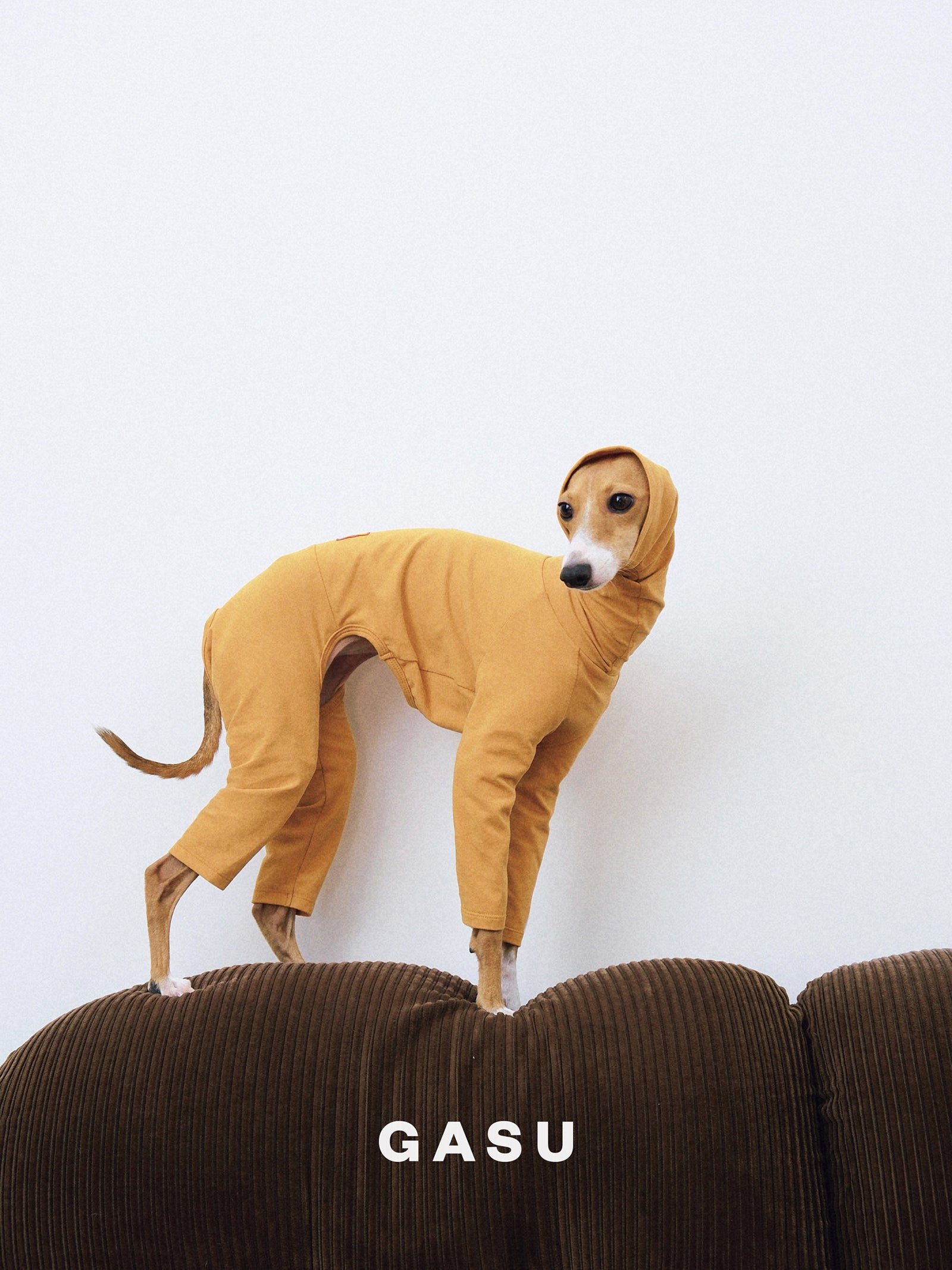 GASU Flâner / [2023 Limited Warm Mustard] Cotton 4-Leg Fit Jumpsuit