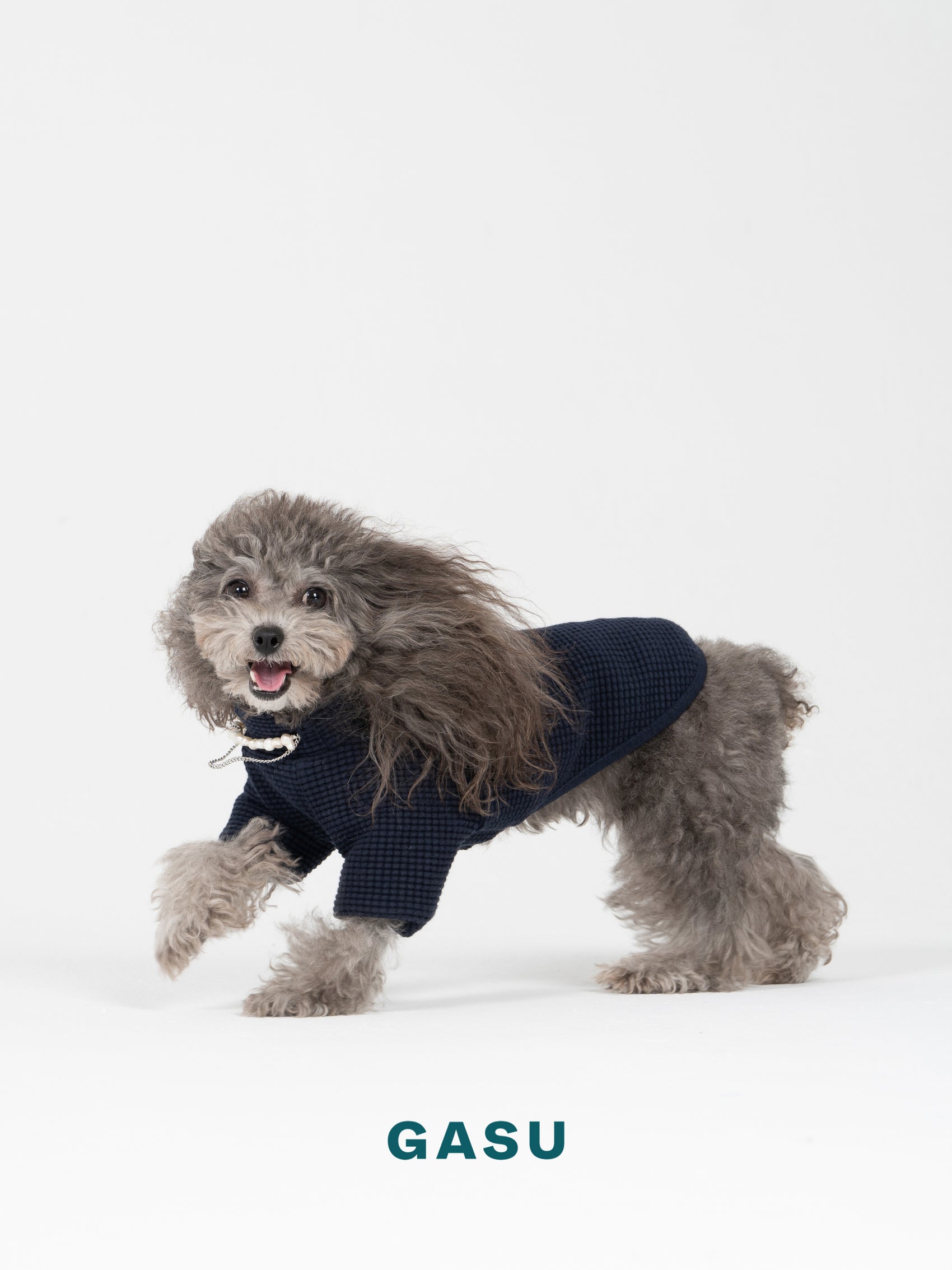 GASU Variété / [Navy] Cotton 2-Leg Tee