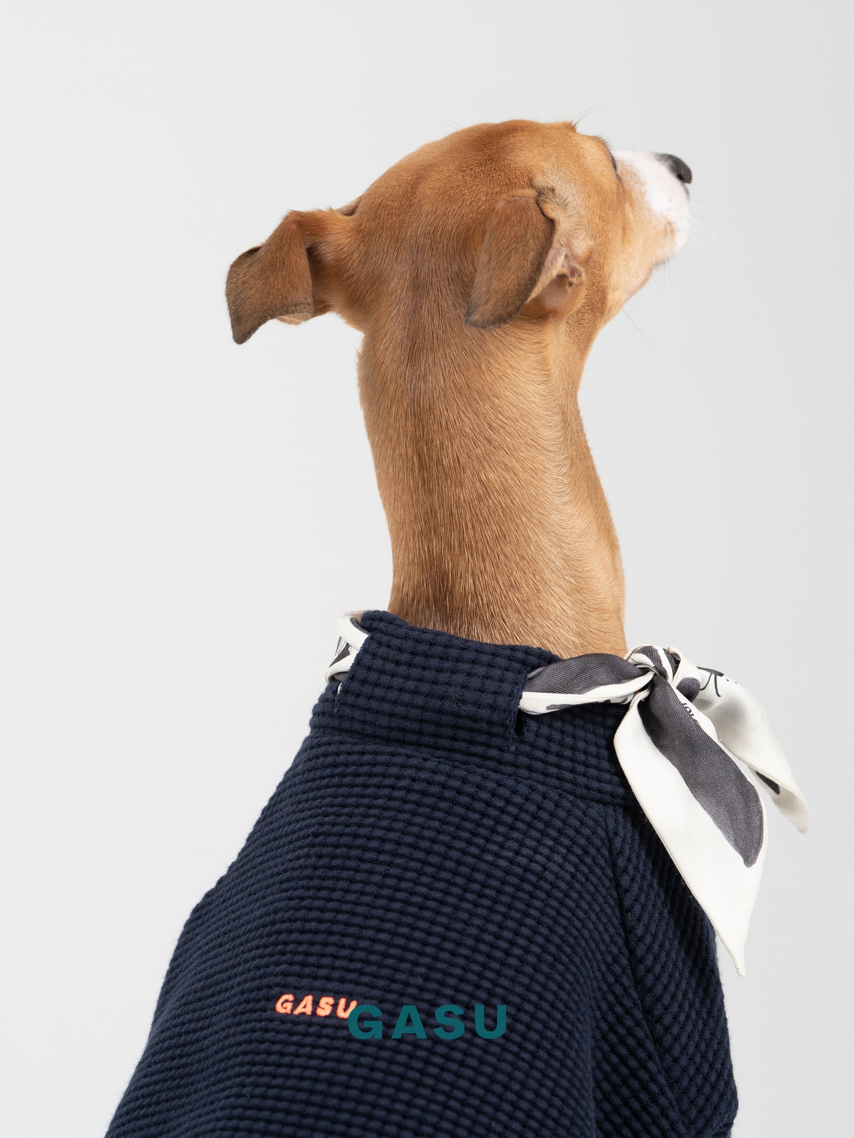 GASU Variété / [Navy] Cotton 2-Leg Tee