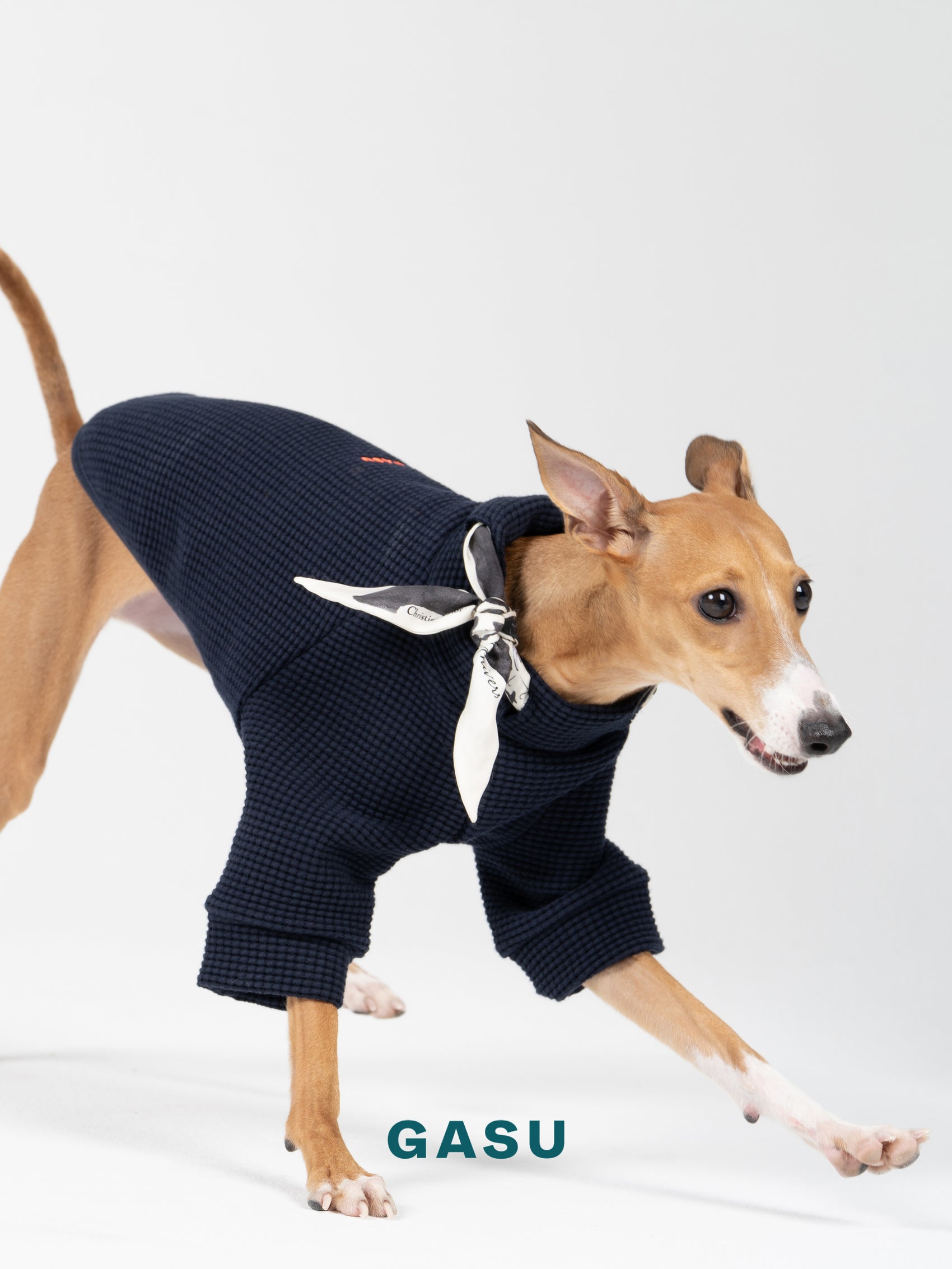 GASU Variété / [Navy] Cotton 2-Leg Tee