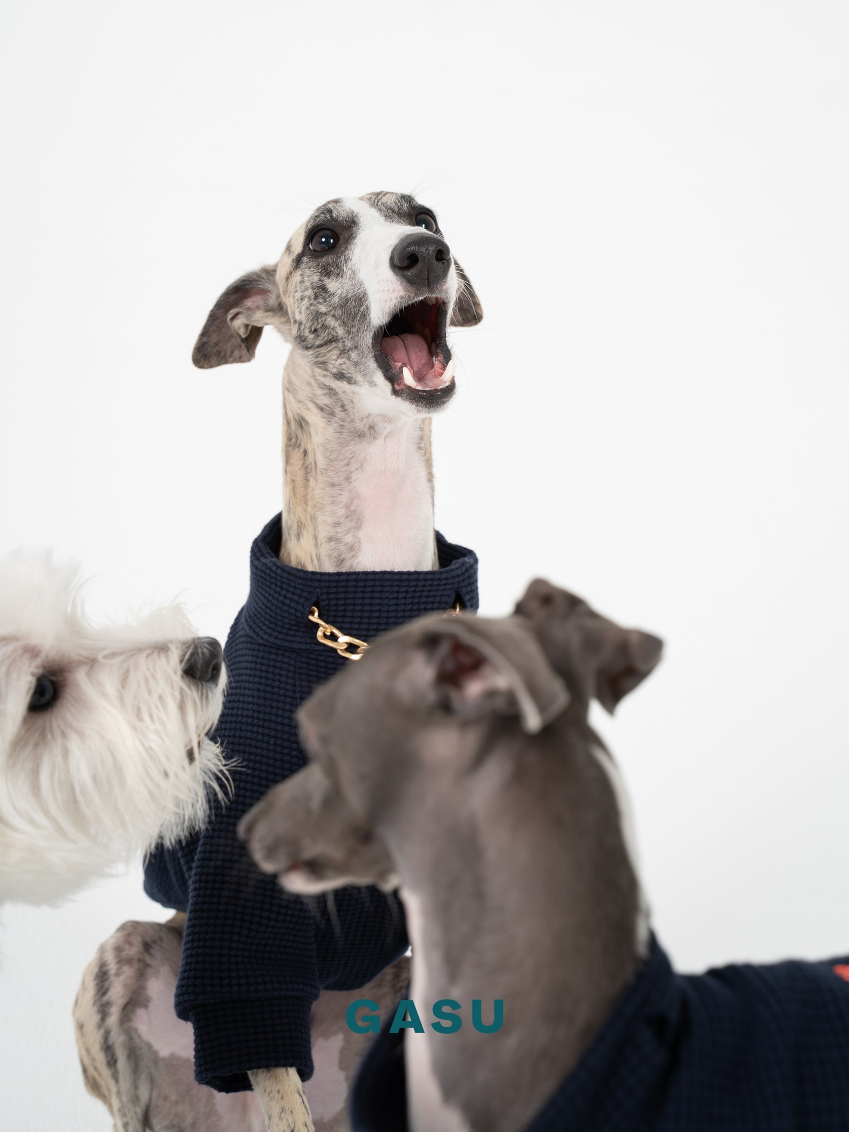 GASU Variété / [Navy] Cotton 2-Leg Tee