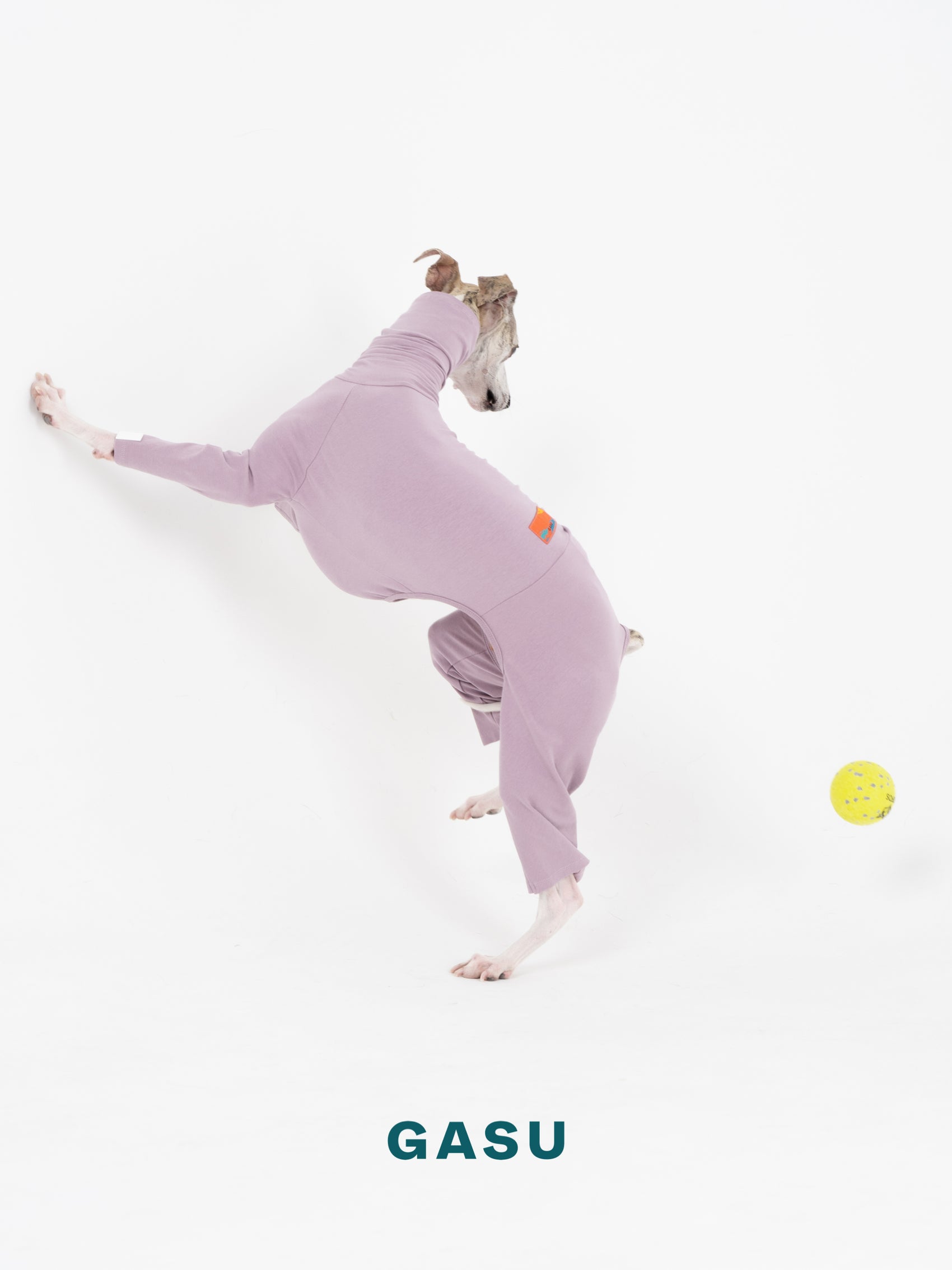 GASU Flâner / [Pale Purple] Cotton 4-Leg Fit Jumpsuit