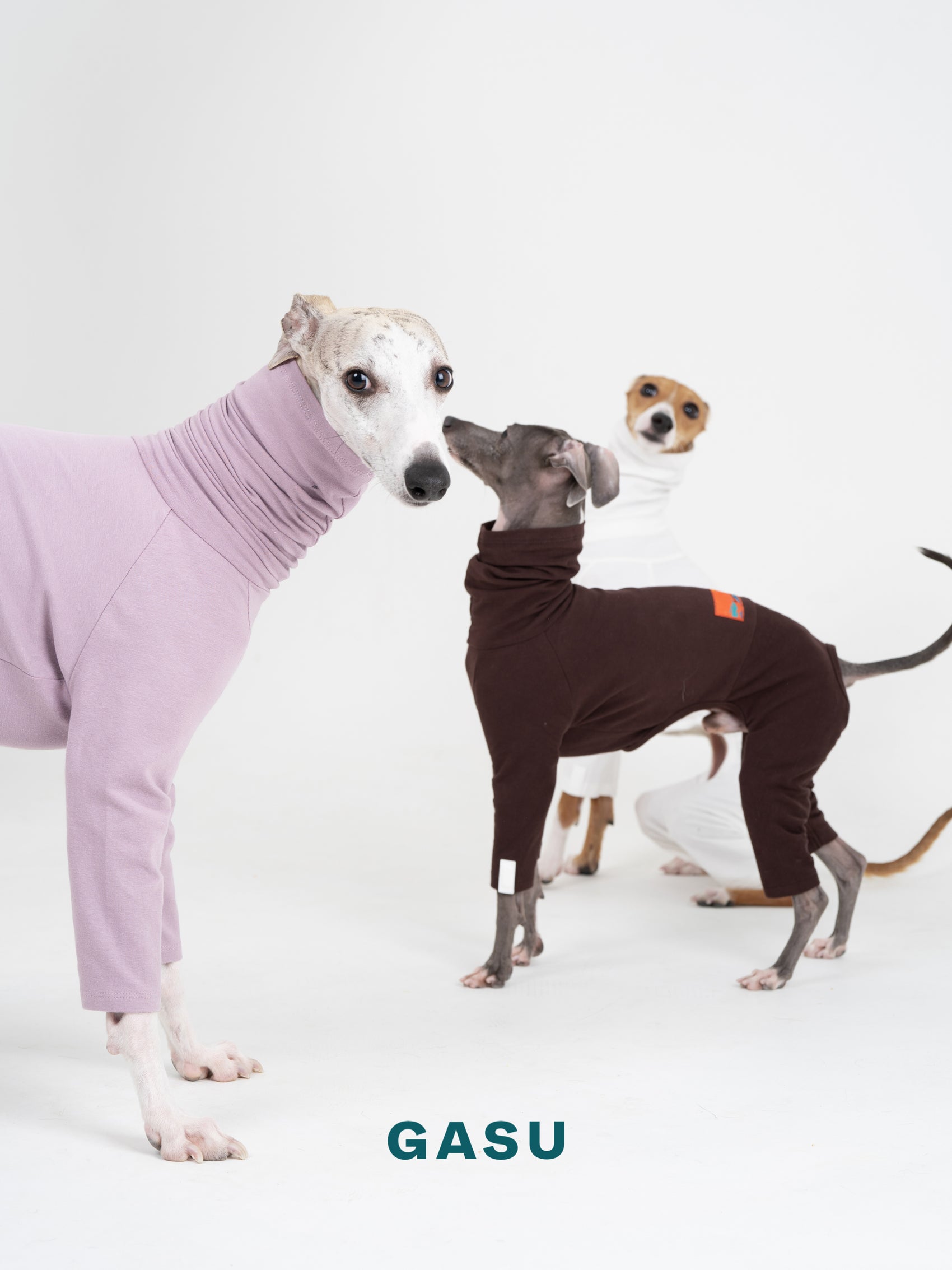 GASU Flâner / [Pale Purple] Cotton 4-Leg Fit Jumpsuit