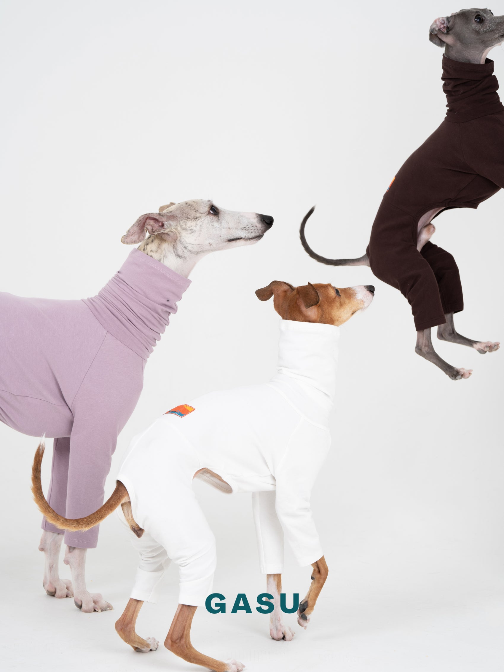 GASU Flâner / [Pale Purple] Cotton 4-Leg Fit Jumpsuit