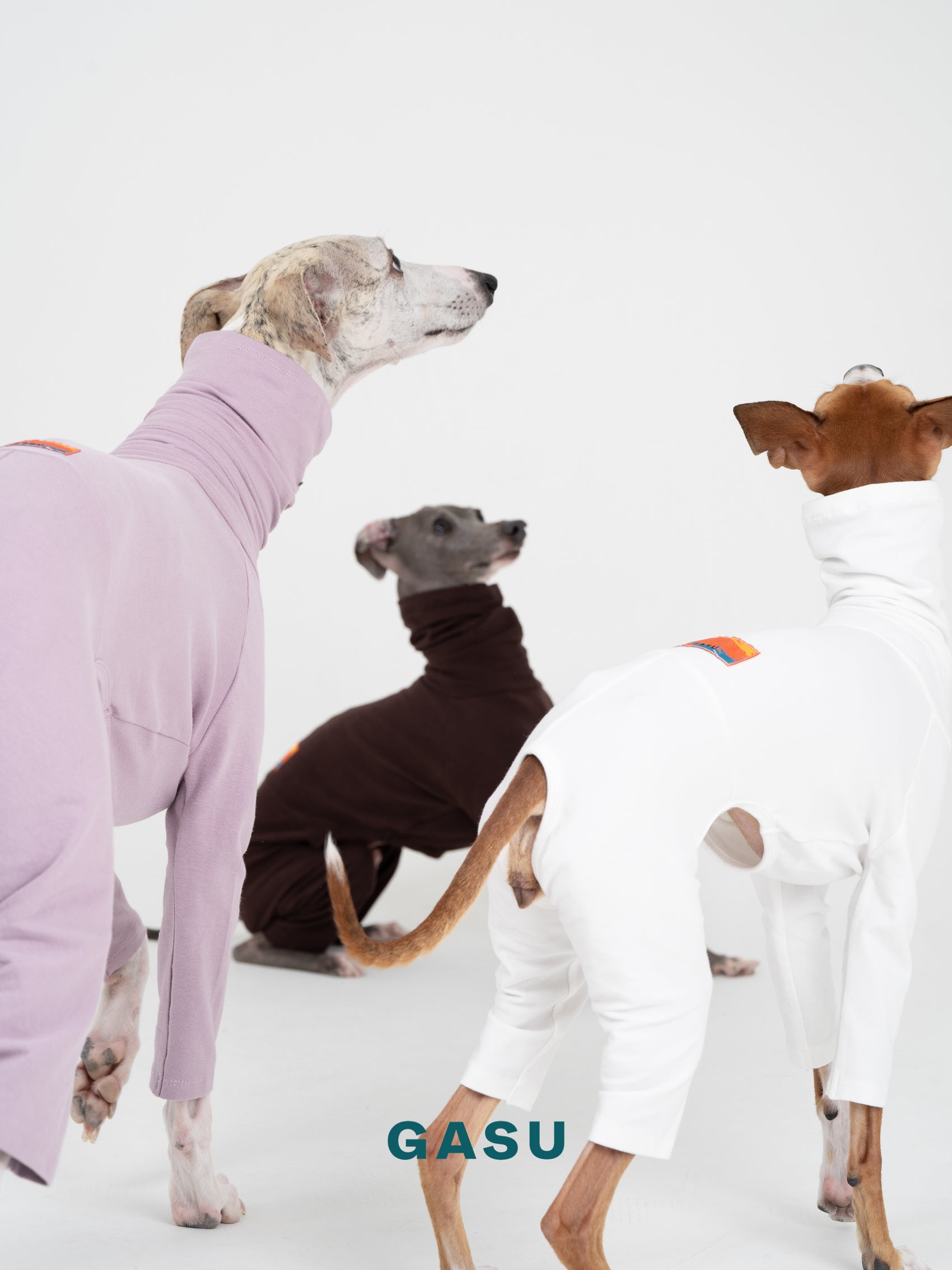 GASU Flâner / [Cream White] Cotton 4-Leg Fit Jumpsuit