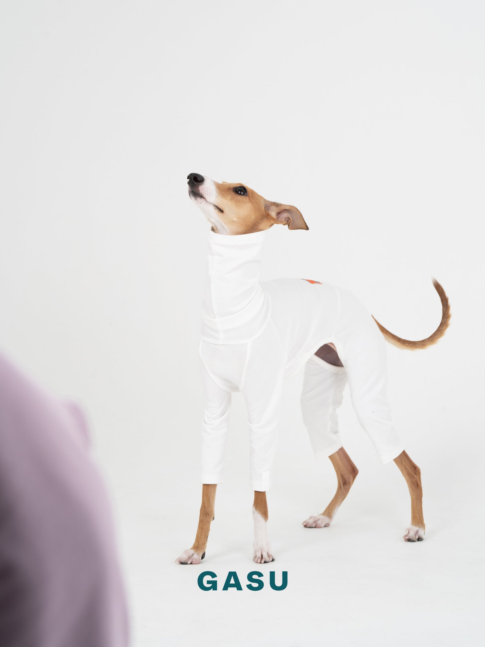 GASU Flâner / [Cream White] Cotton 4-Leg Fit Jumpsuit