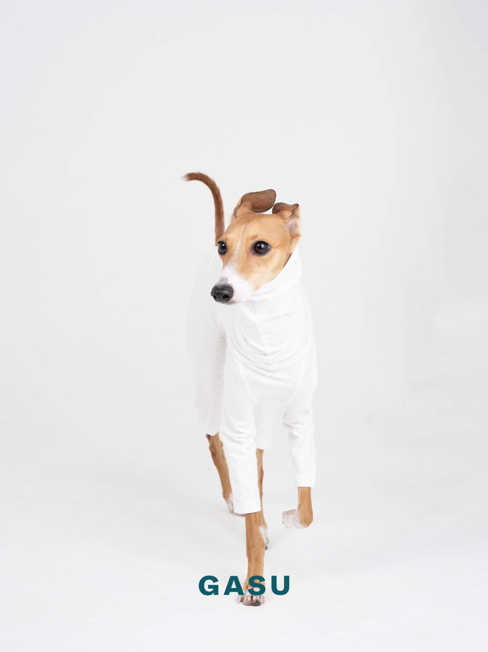 GASU Flâner / [Cream White] Cotton 4-Leg Fit Jumpsuit