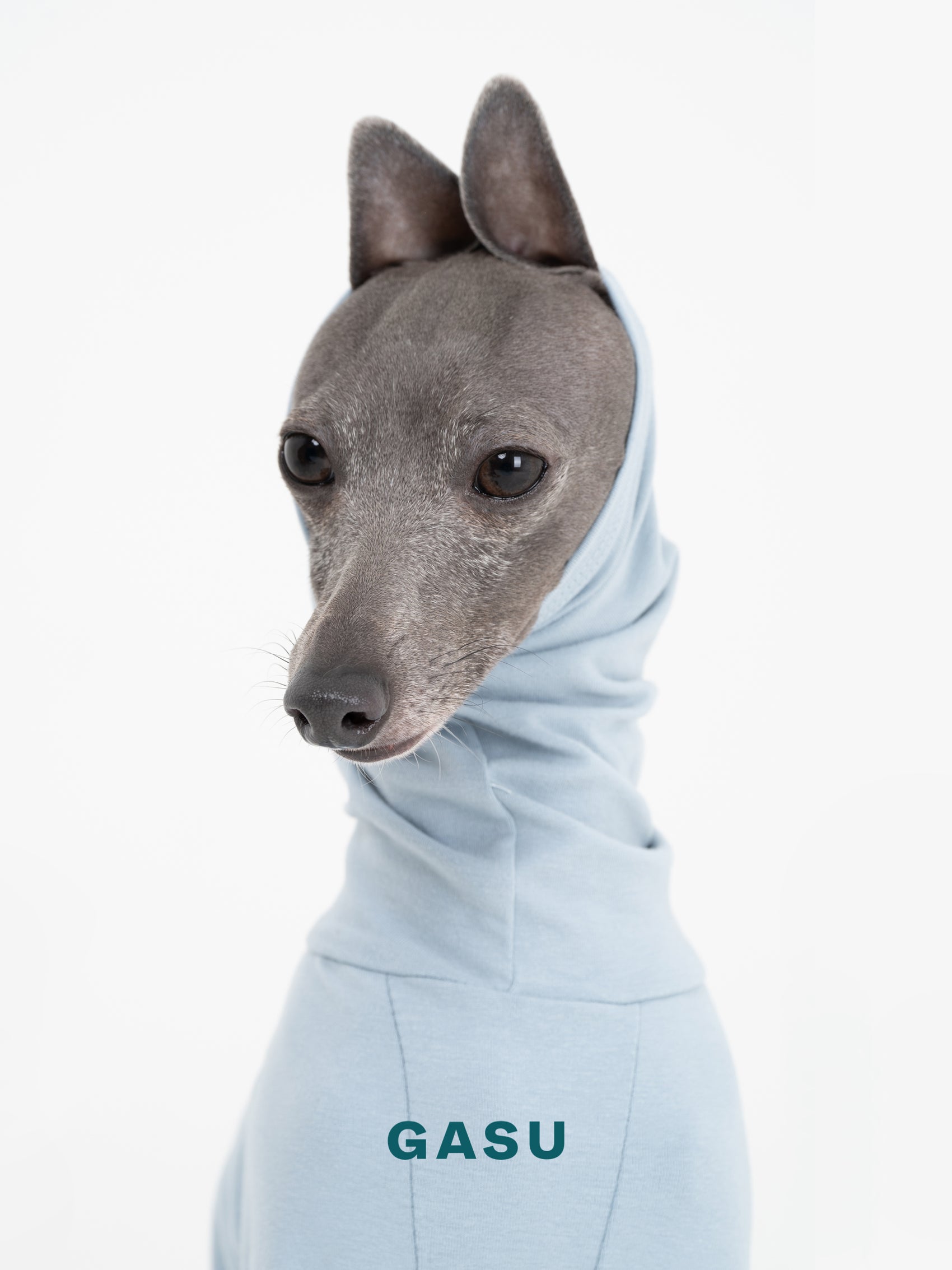 GASU Flâner / [Concrete Blue] Cotton 4-Leg Fit Jumpsuit