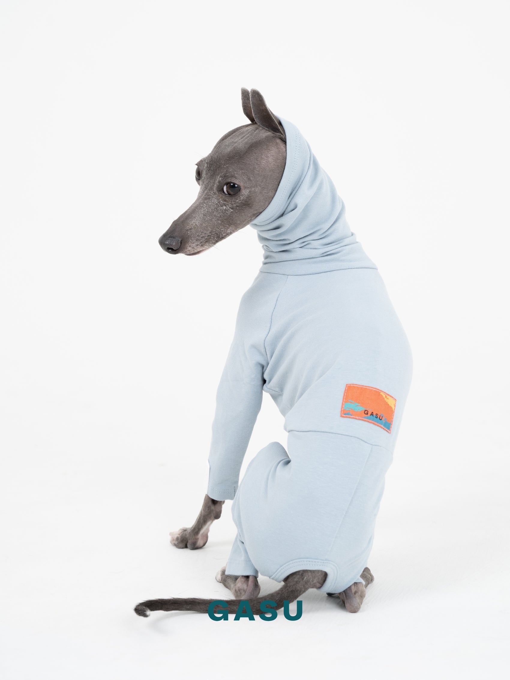 GASU Flâner / [Concrete Blue] Cotton 4-Leg Fit Jumpsuit