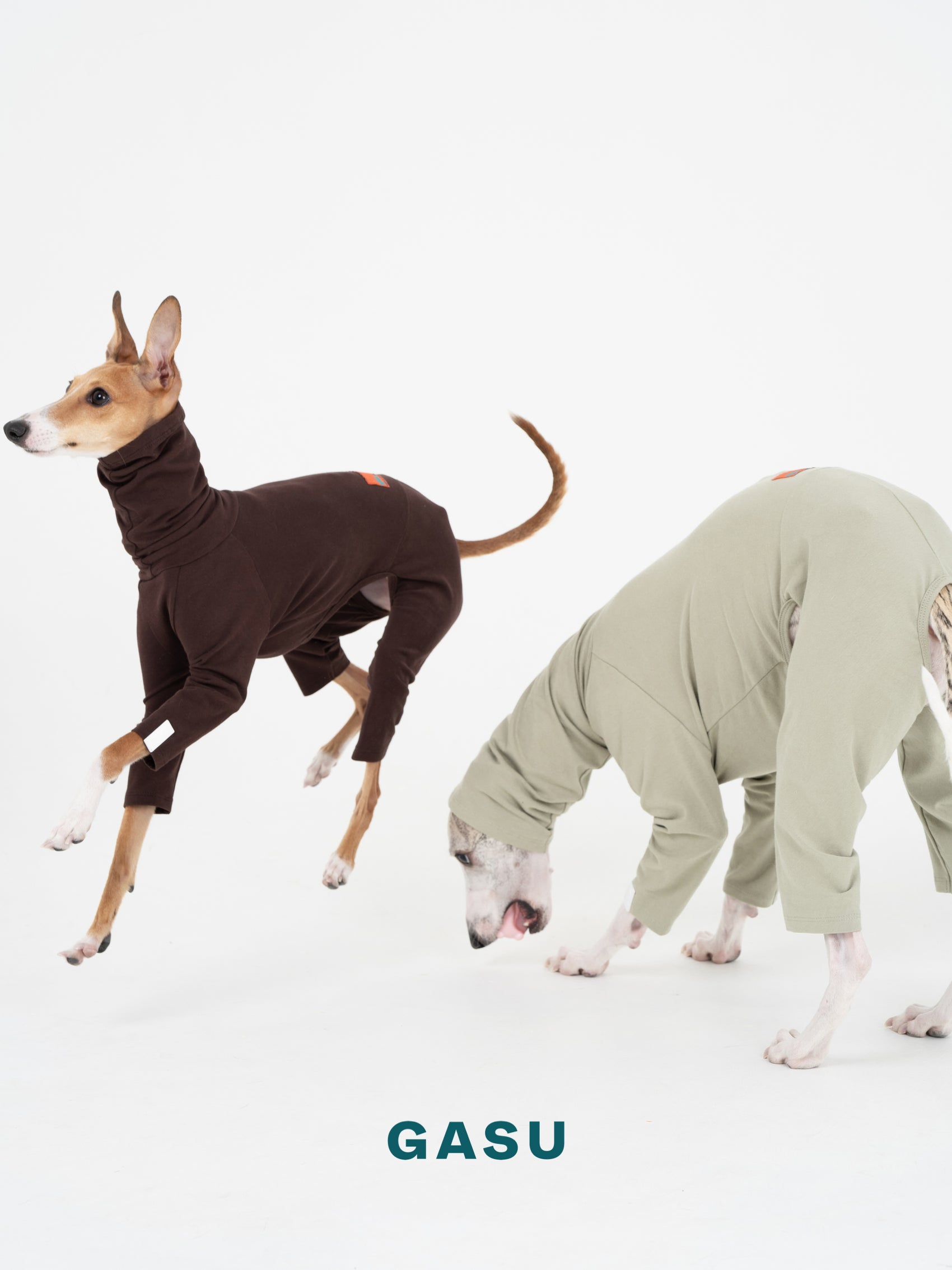 GASU Flâner / [Coffee Tan] Cotton 4-Leg Fit Jumpsuit