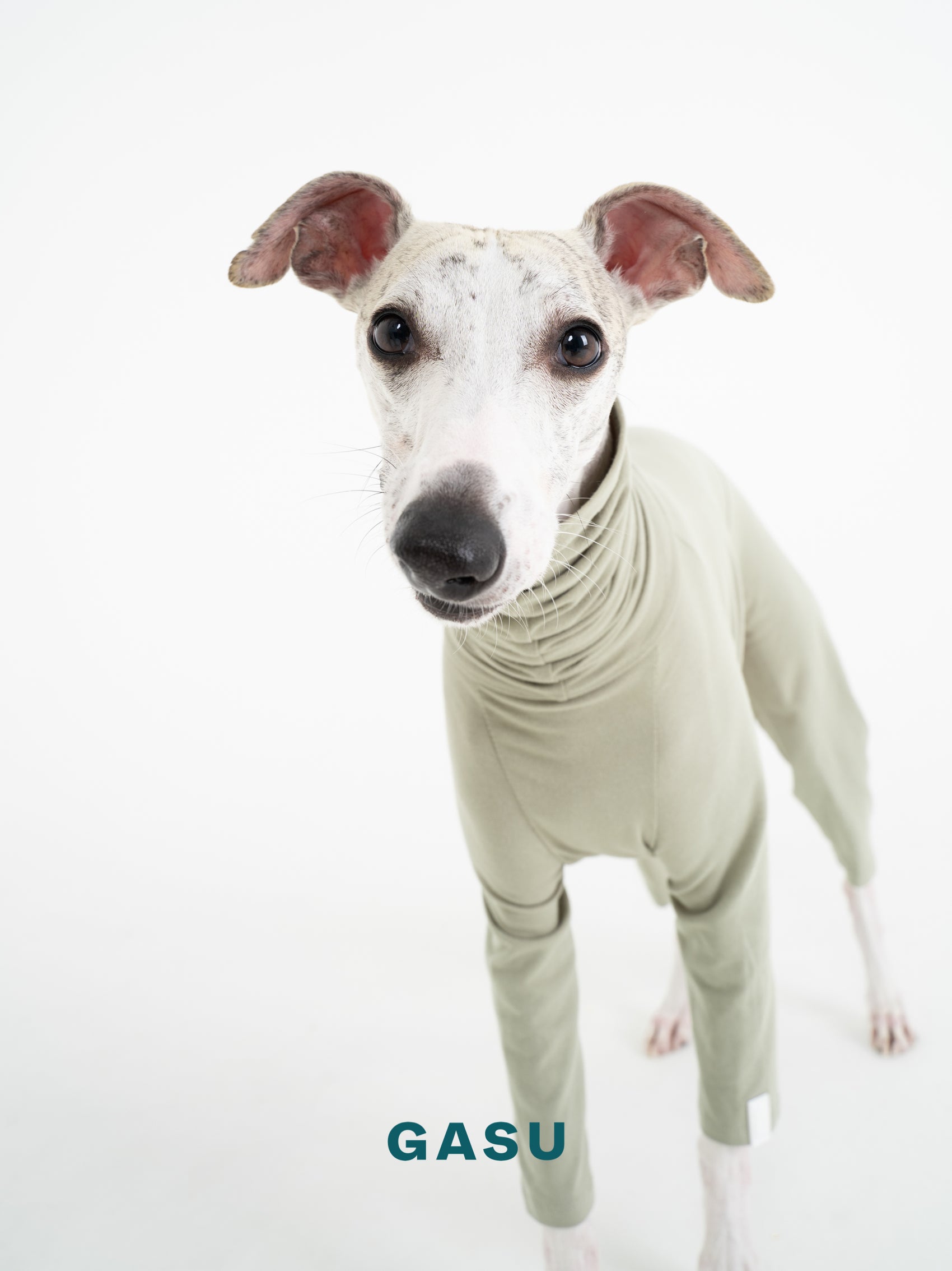 GASU Flâner / [Sage Green] Cotton 4-Leg Fit Jumpsuit