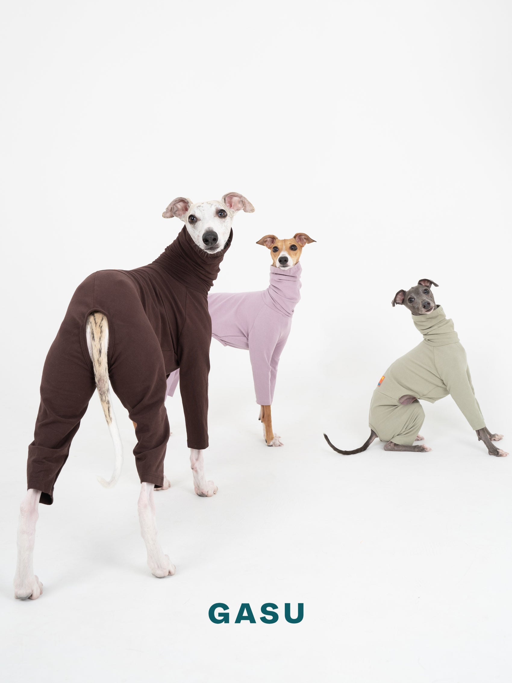 GASU Flâner / [Coffee Tan] Cotton 4-Leg Fit Jumpsuit