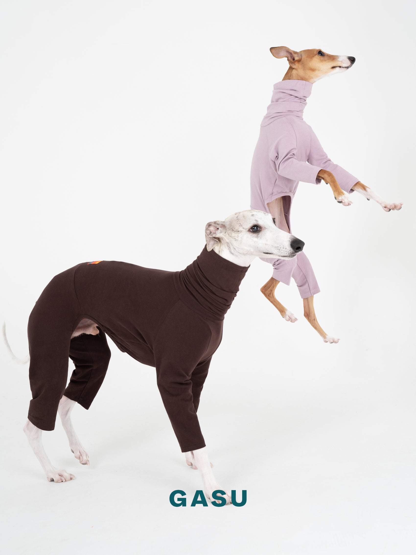 GASU Flâner / [Coffee Tan] Cotton 4-Leg Fit Jumpsuit