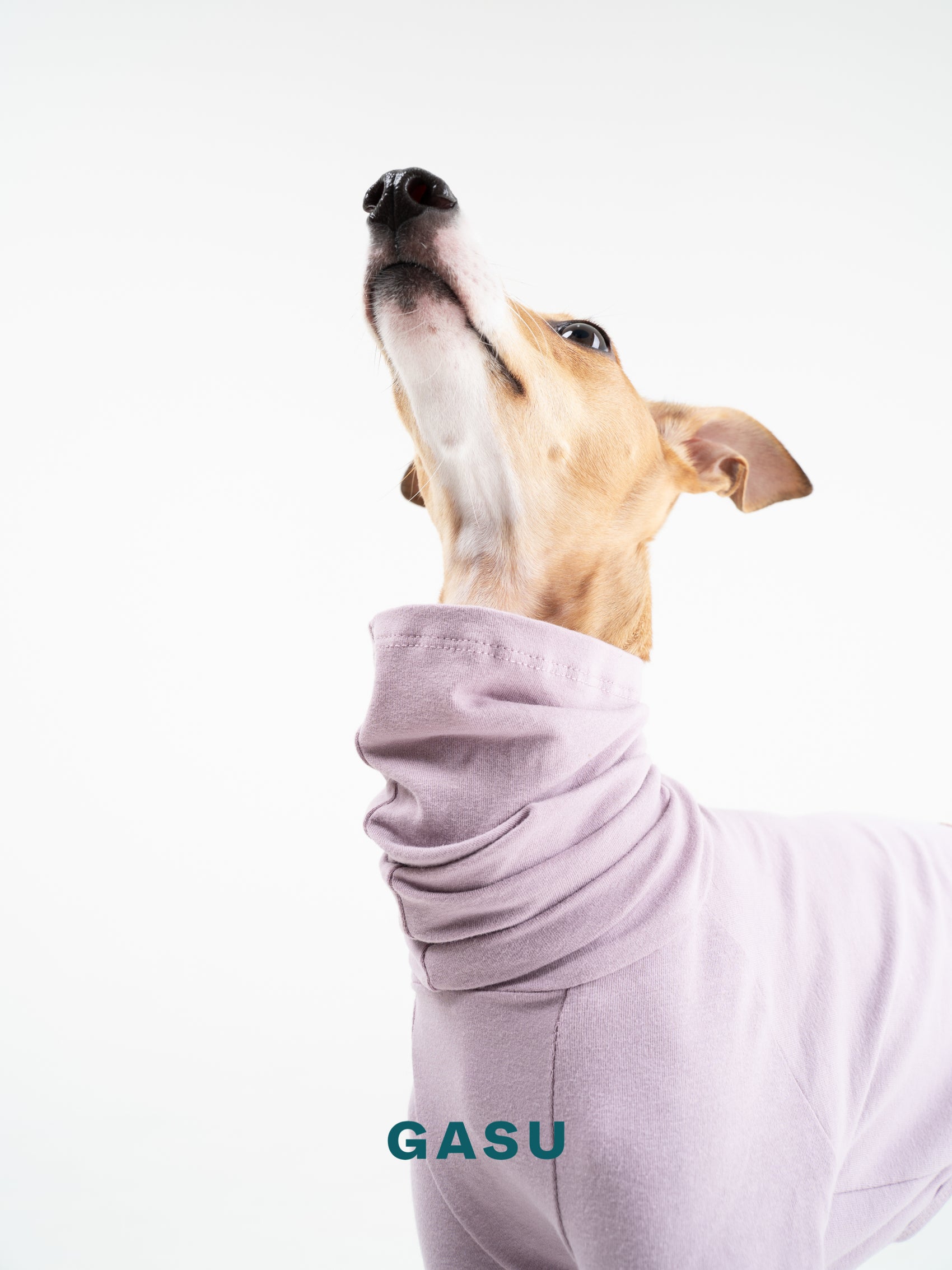 GASU Flâner / [Pale Purple] Cotton 4-Leg Fit Jumpsuit