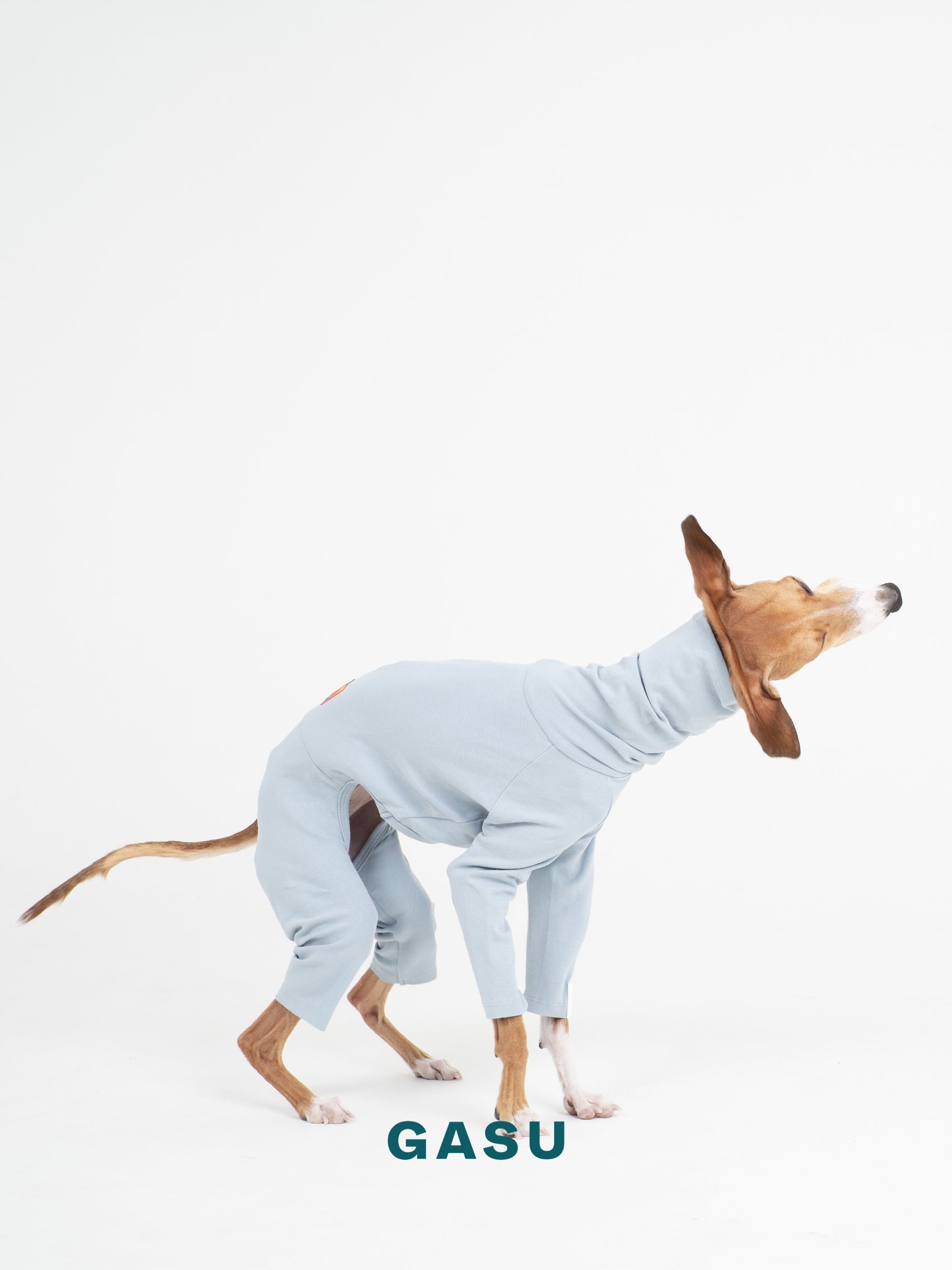 GASU Flâner / [Concrete Blue] Cotton 4-Leg Fit Jumpsuit