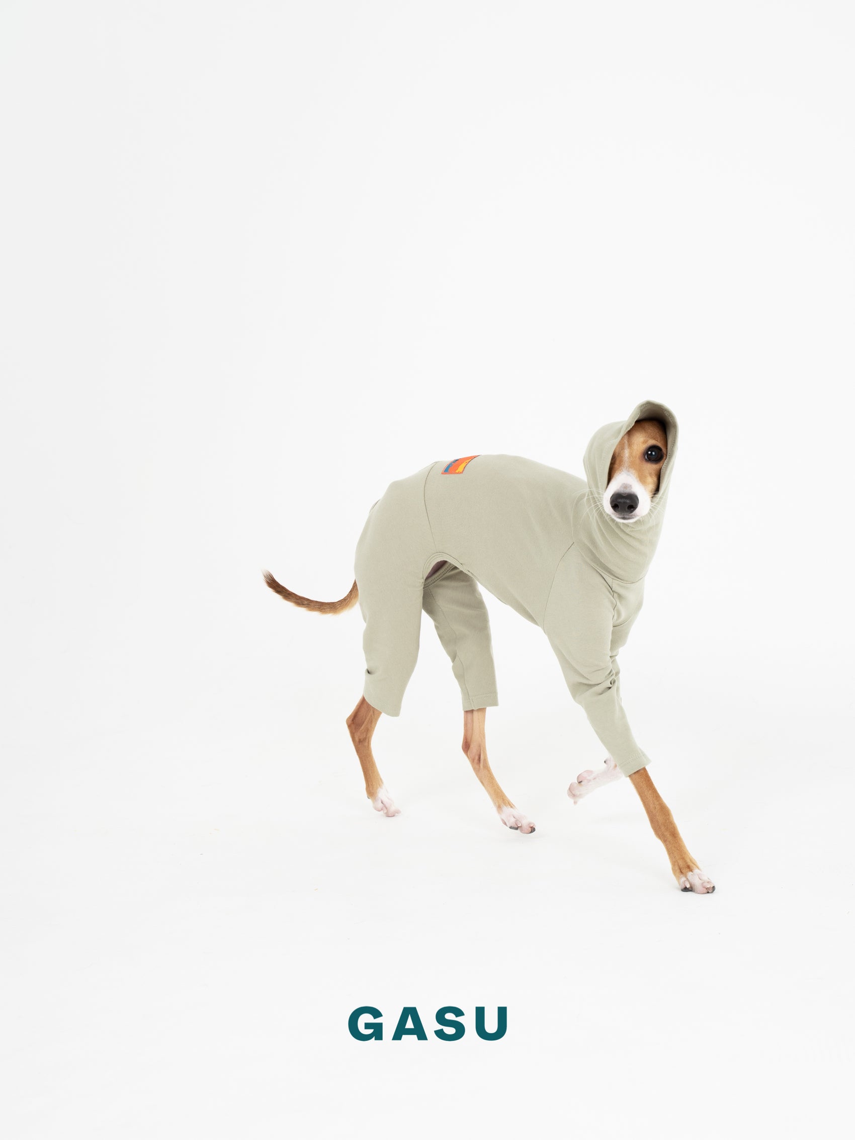 GASU Flâner / [Sage Green] Cotton 4-Leg Fit Jumpsuit
