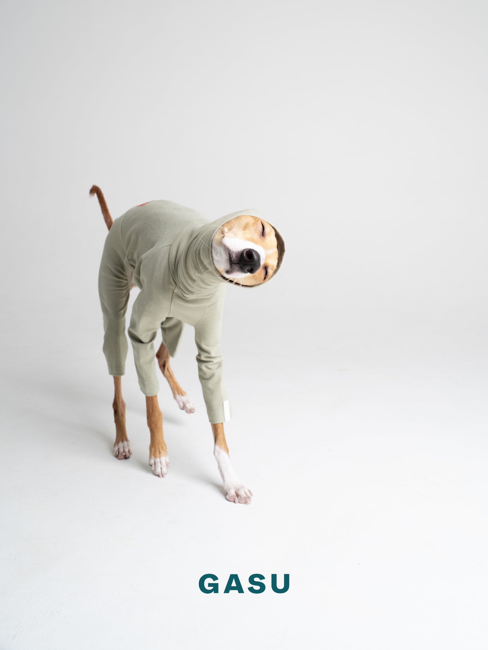 GASU Flâner / [Sage Green] Cotton 4-Leg Fit Jumpsuit