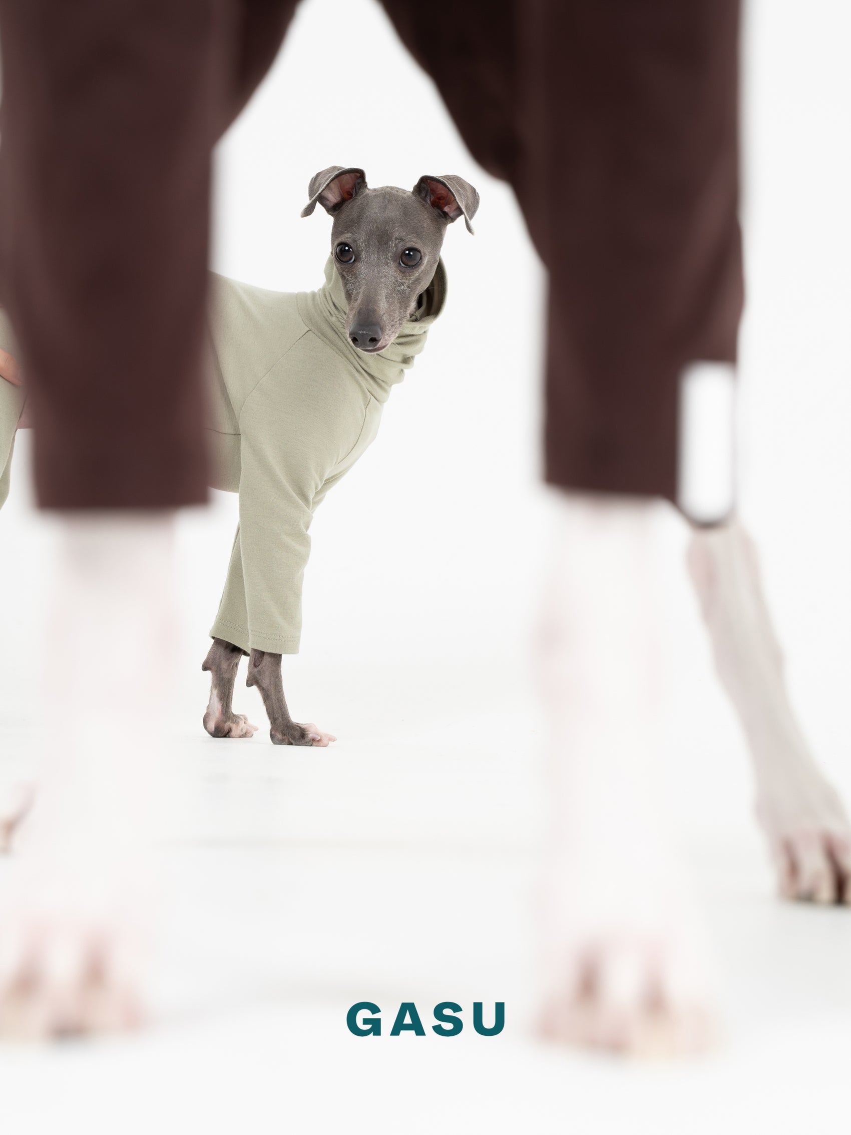 GASU Flâner / [Sage Green] Cotton 4-Leg Fit Jumpsuit