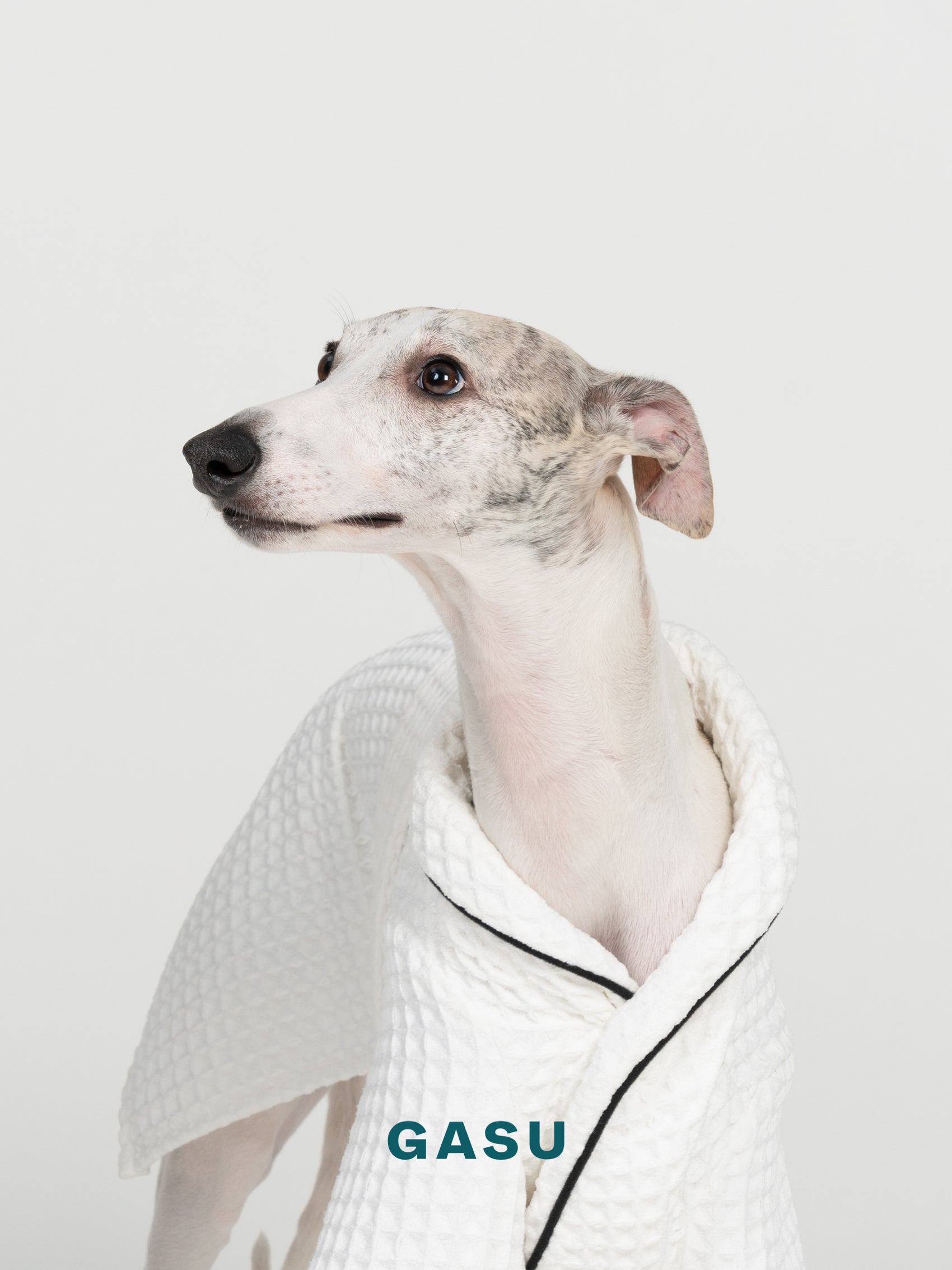 GASU Caresser / [Milk] Pet Bath Robe
