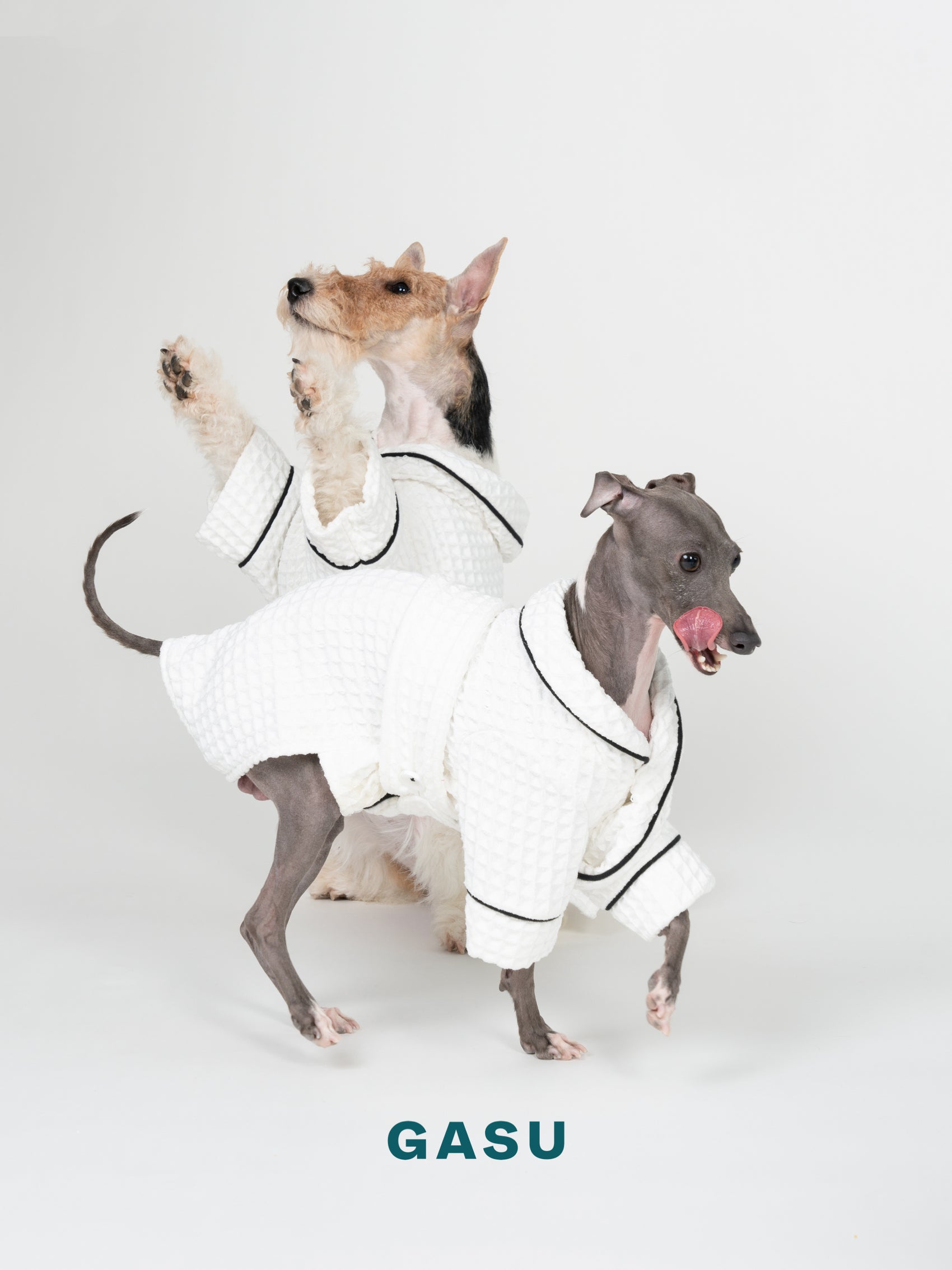 GASU Caresser / [Milk] Pet Bath Robe
