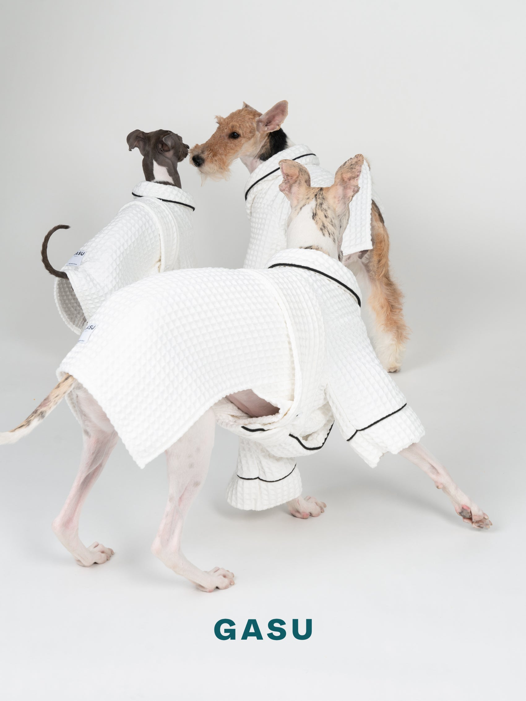 GASU Caresser / [Milk] Pet Bath Robe